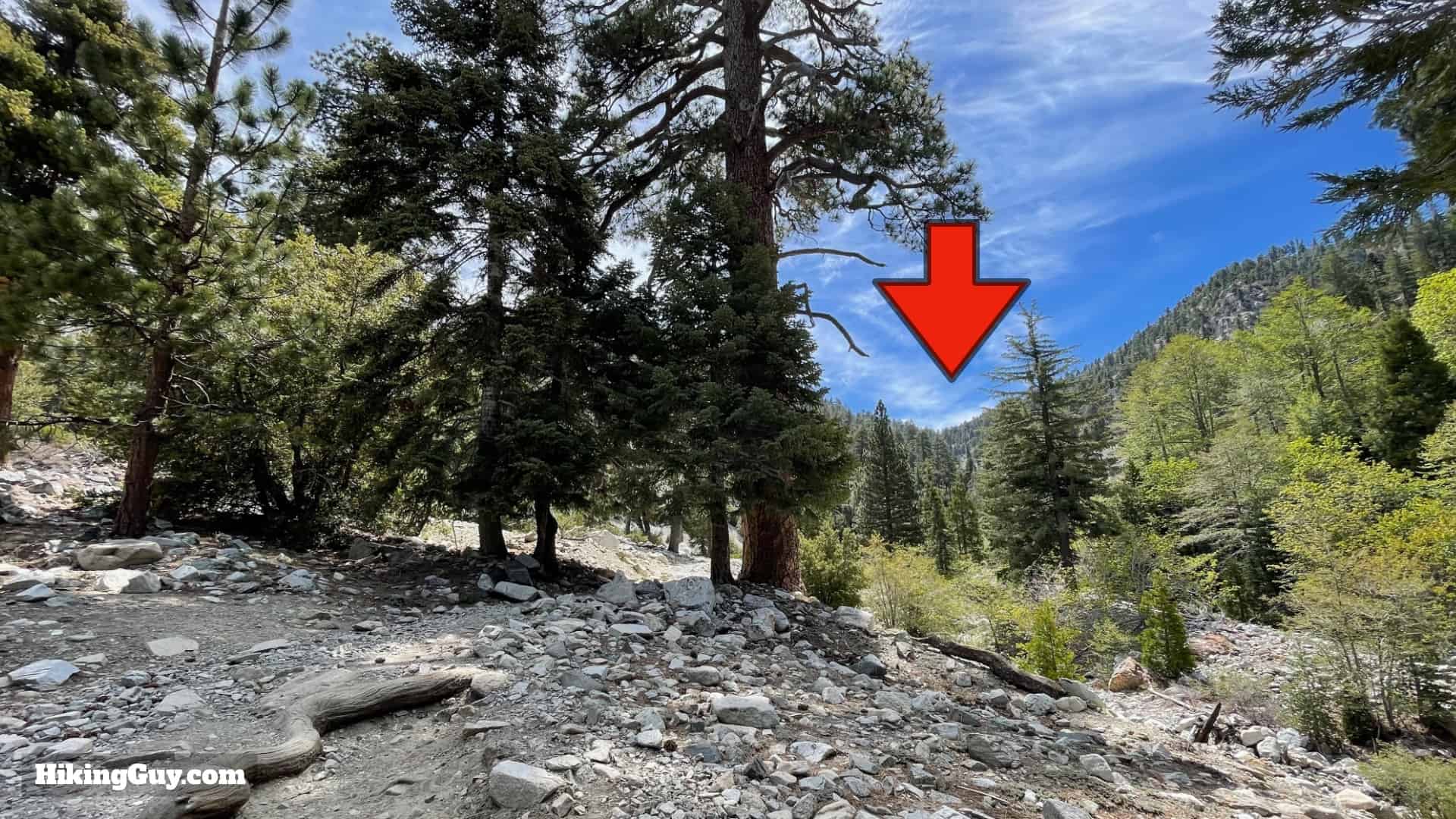 Cucamonga Peak 2021 Update 23