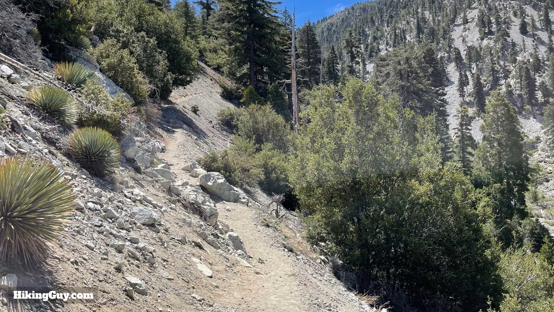 Cucamonga Peak 2021 Update 25