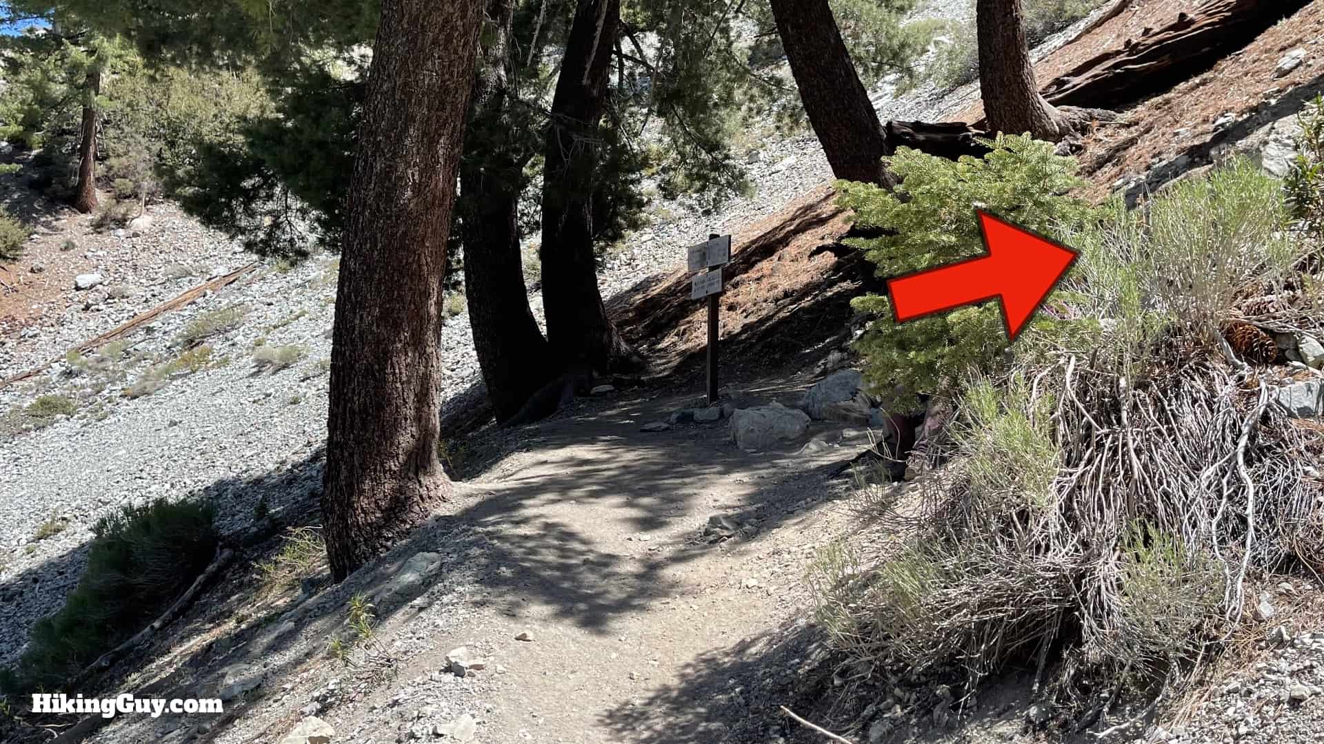 Cucamonga Peak 2021 Update 29
