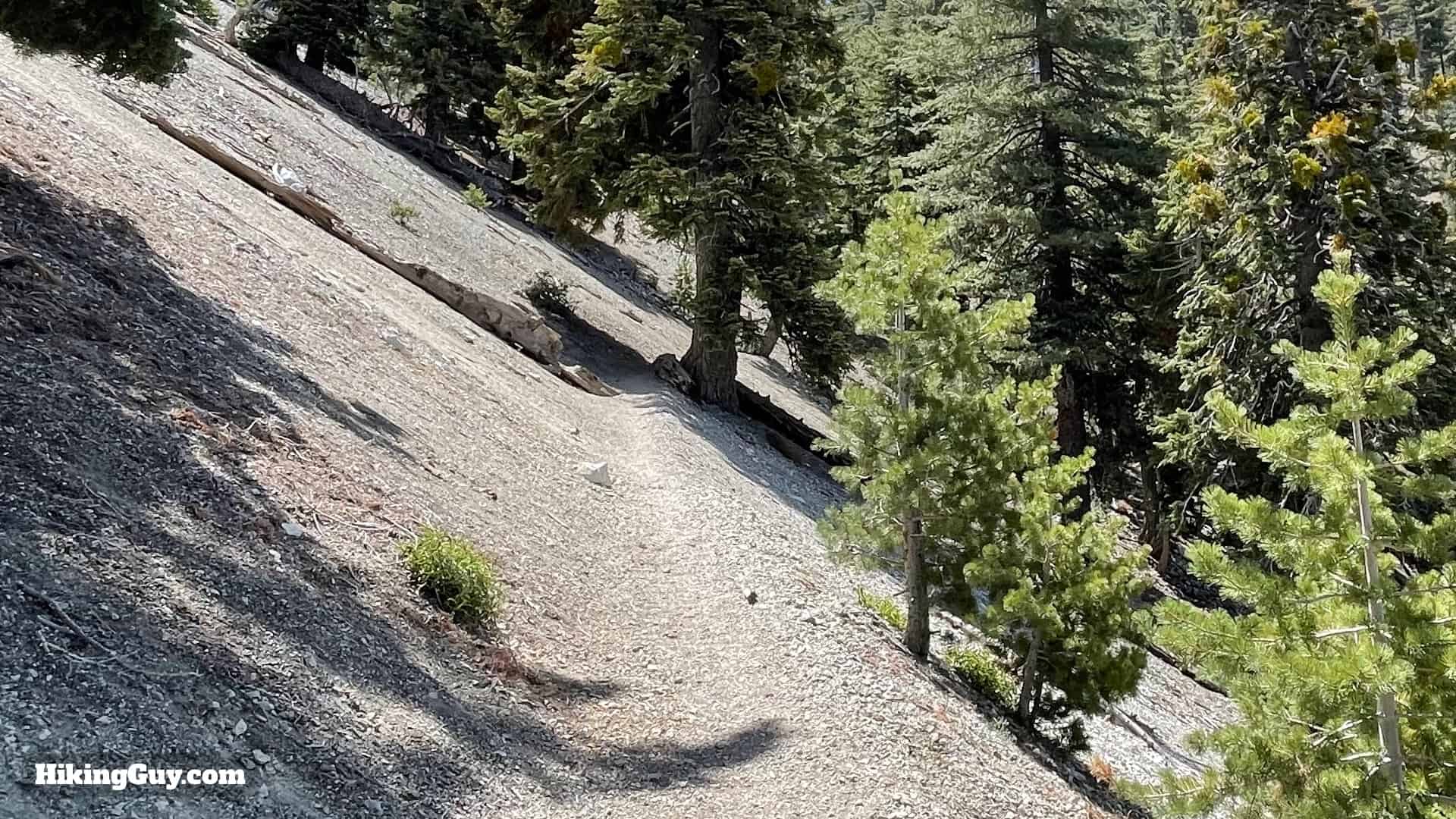 Cucamonga Peak 2021 Update 31