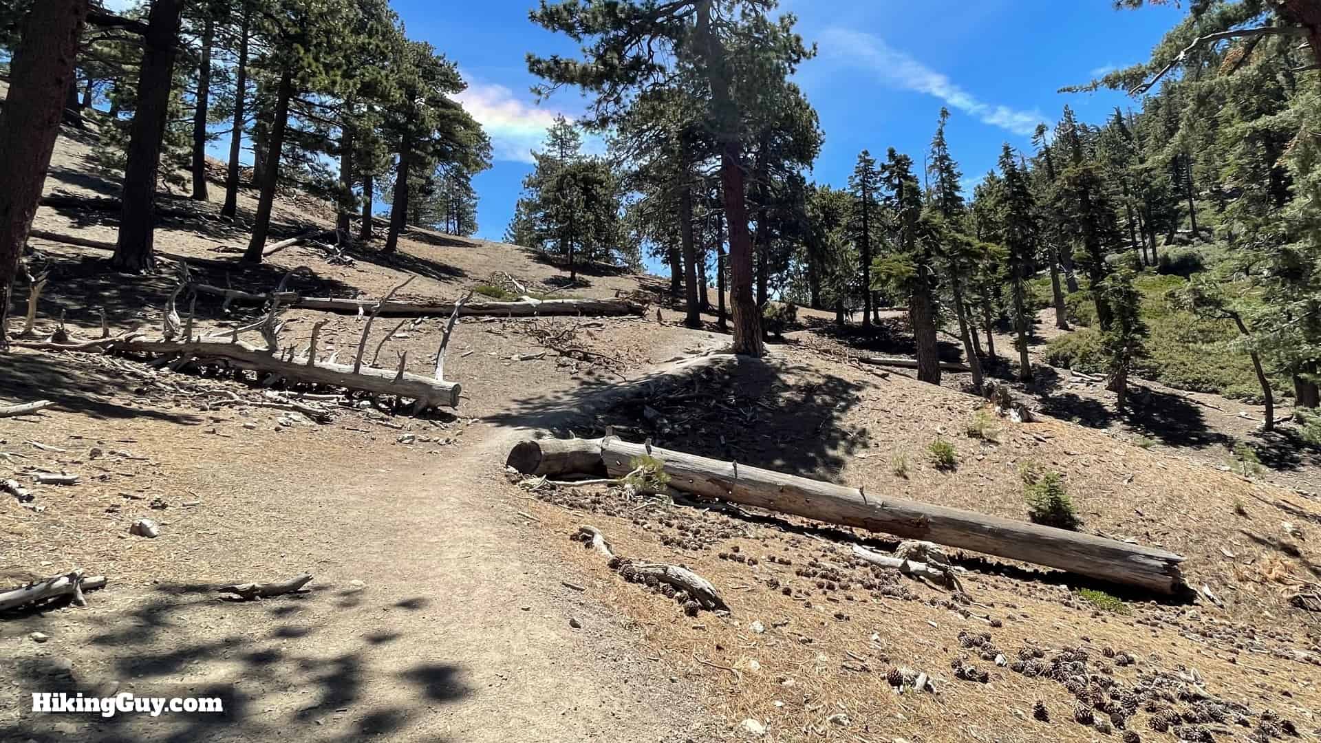 Cucamonga Peak 2021 Update 32
