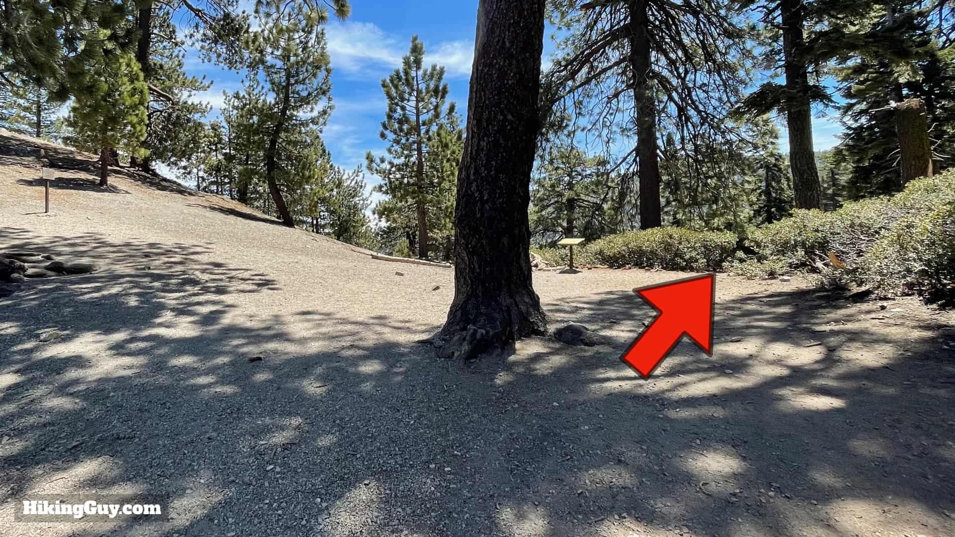 Cucamonga Peak 2021 Update 33