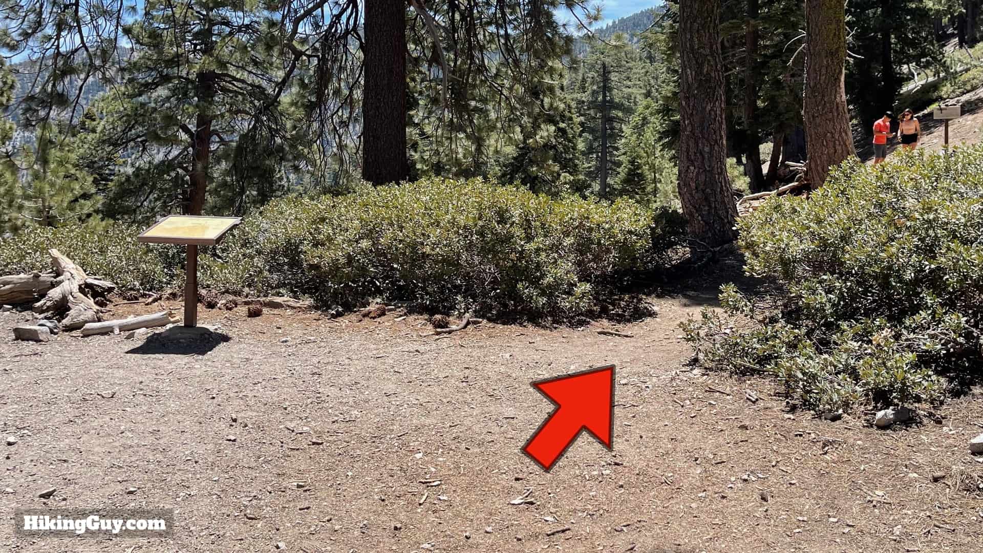 Cucamonga Peak 2021 Update 34