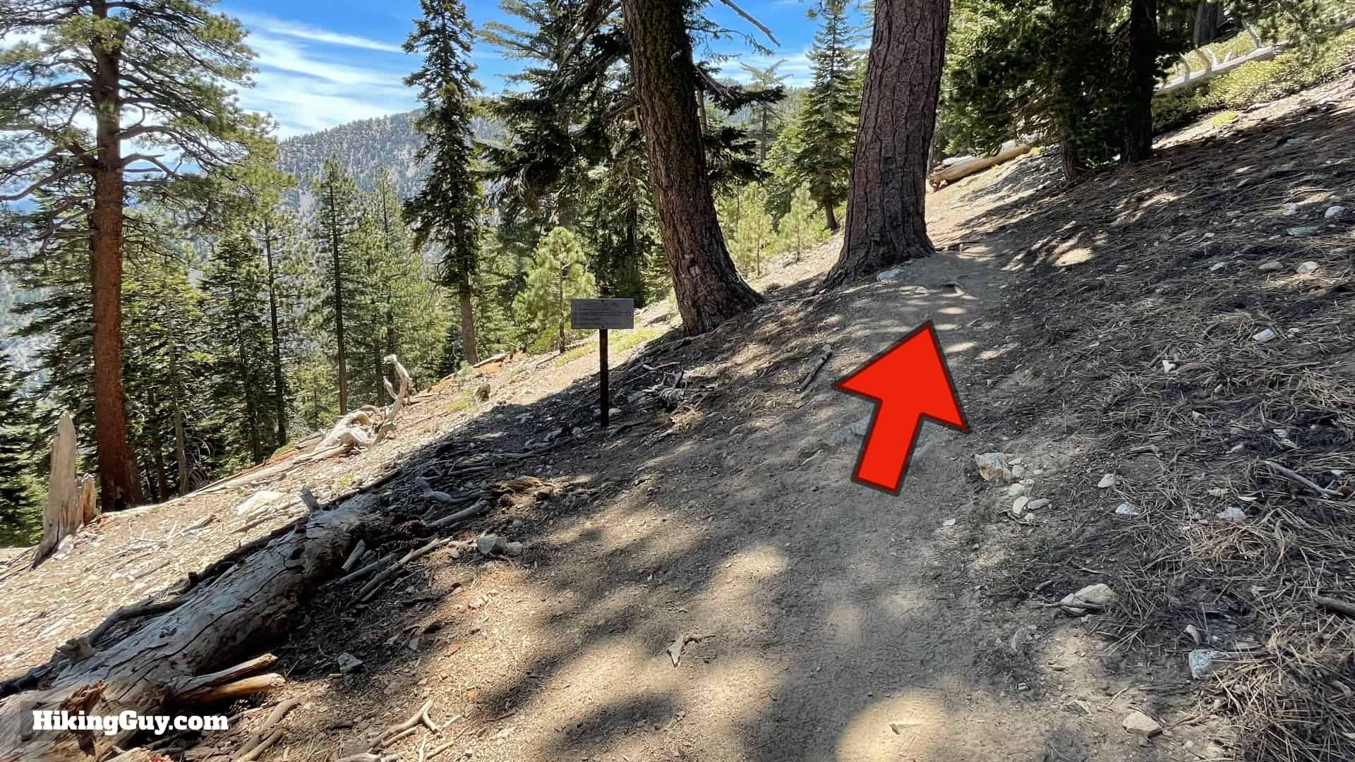 Cucamonga Peak 2021 Update 36