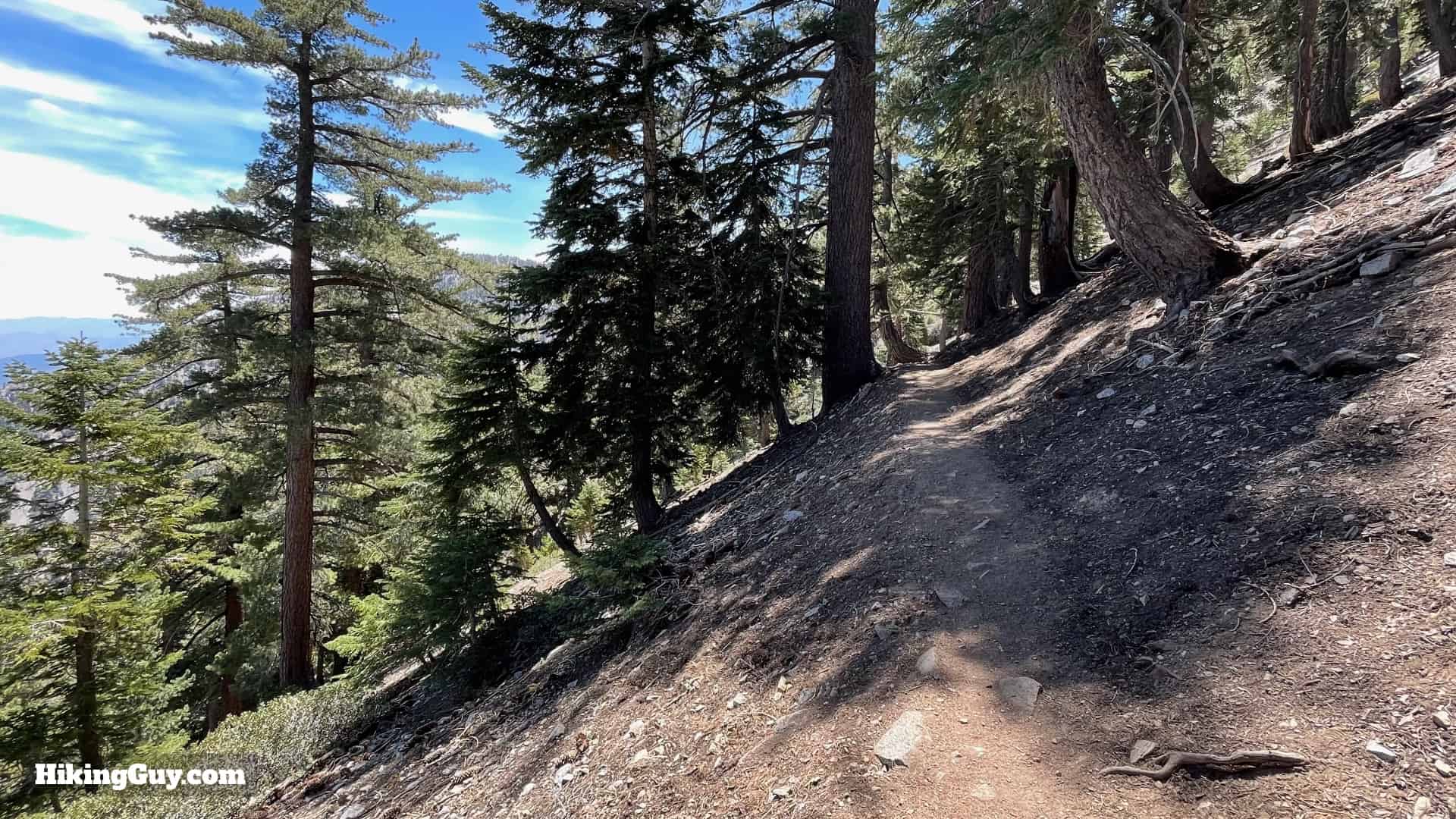 Cucamonga Peak 2021 Update 37