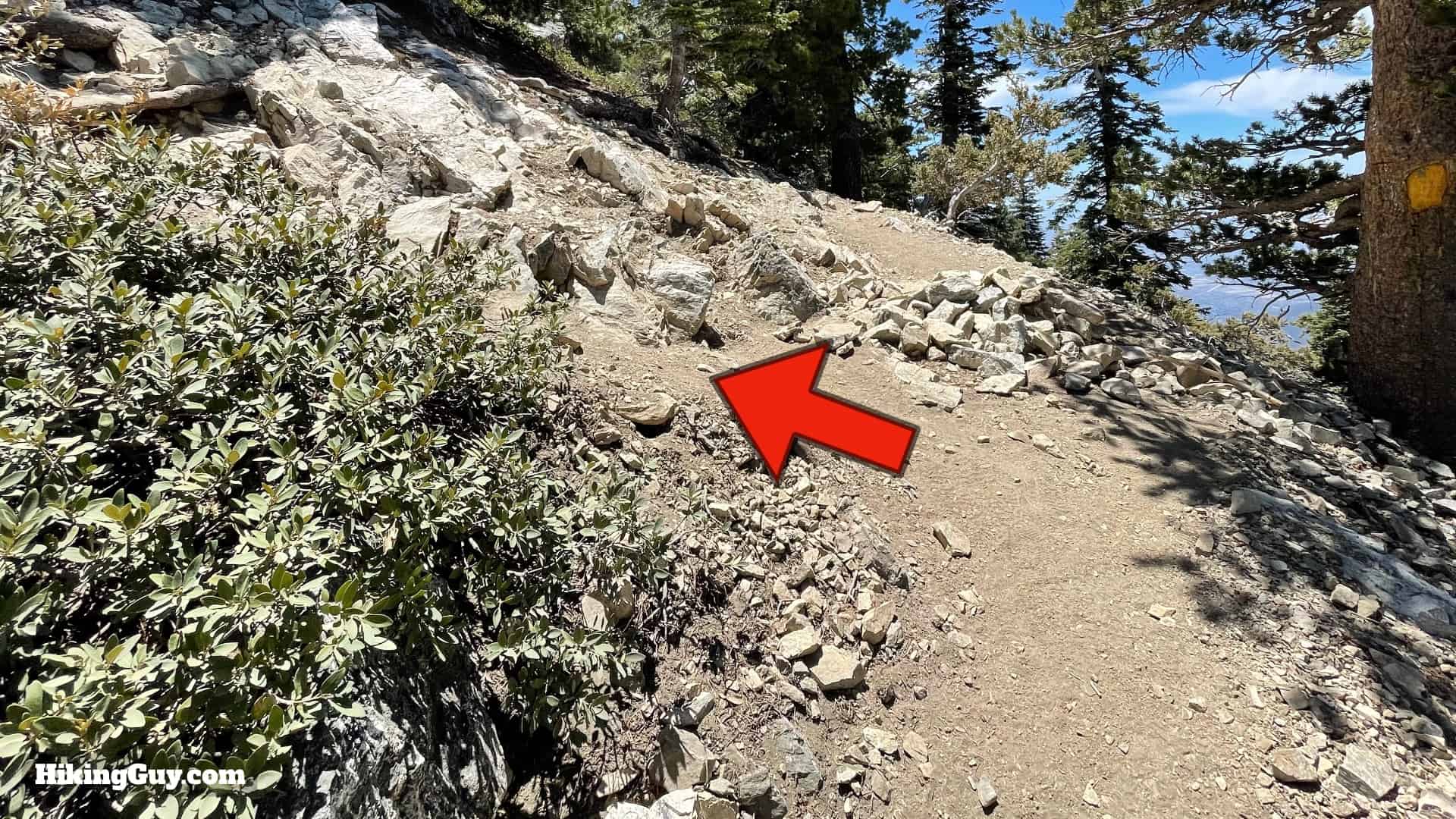 Cucamonga Peak 2021 Update 44