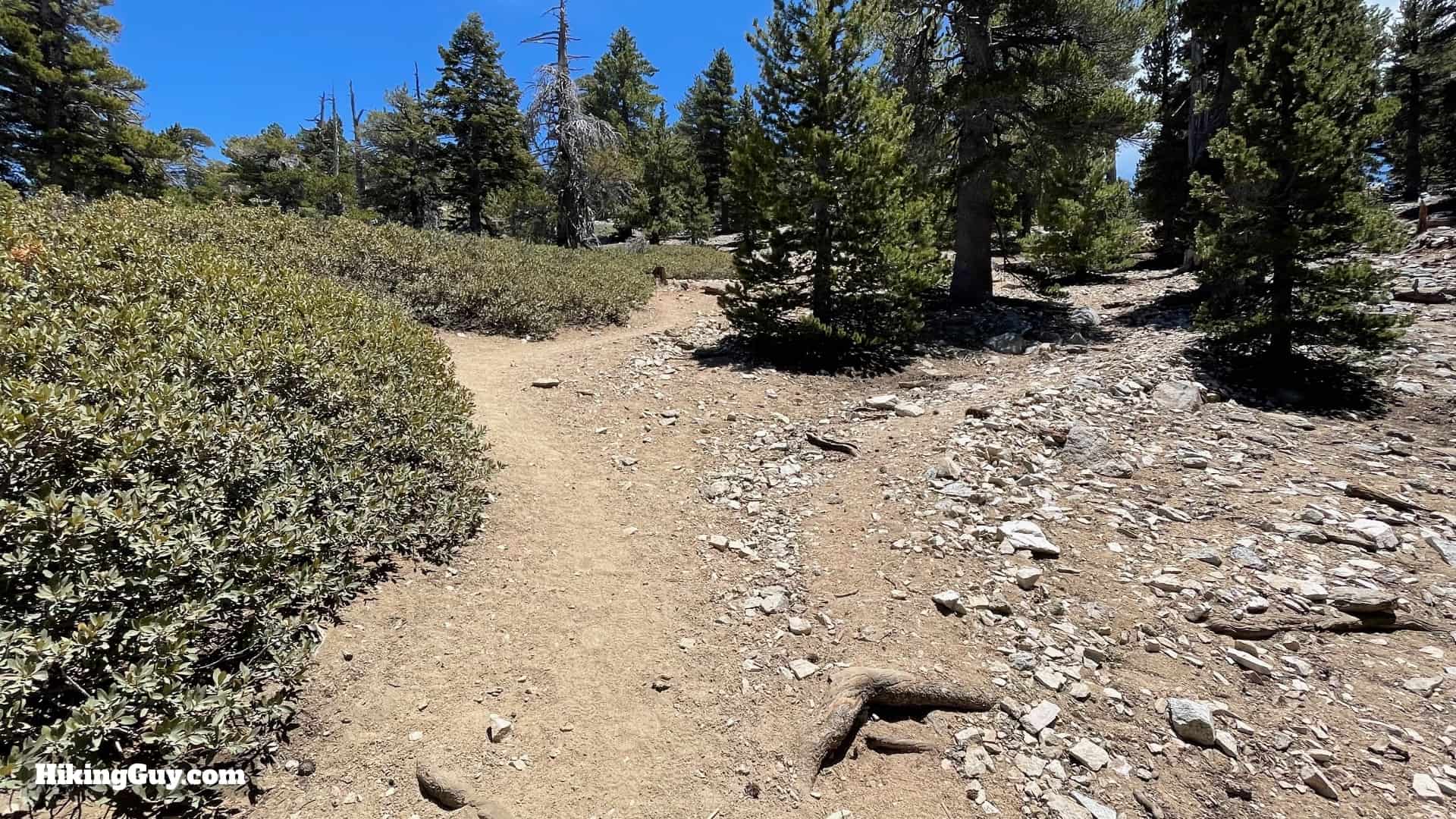 Cucamonga Peak 2021 Update 47