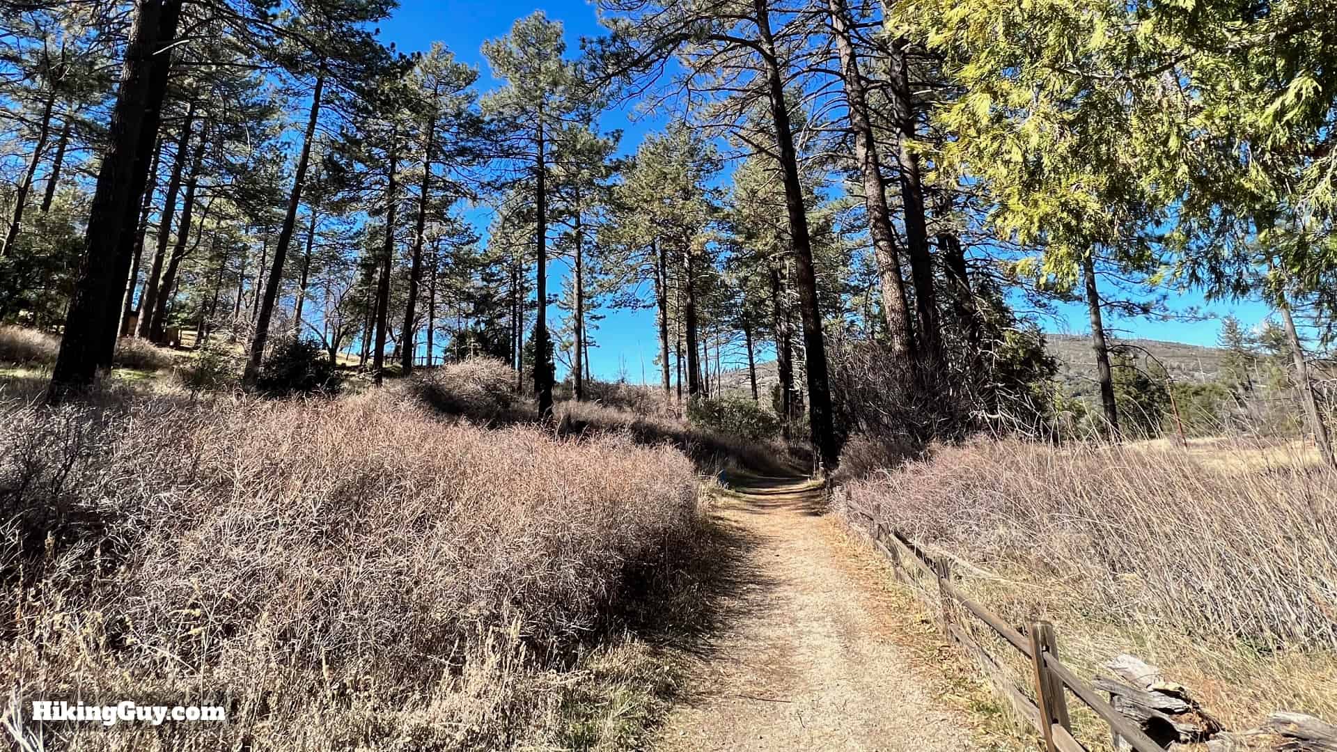 Cuyamaca Peak Hike Loop 11