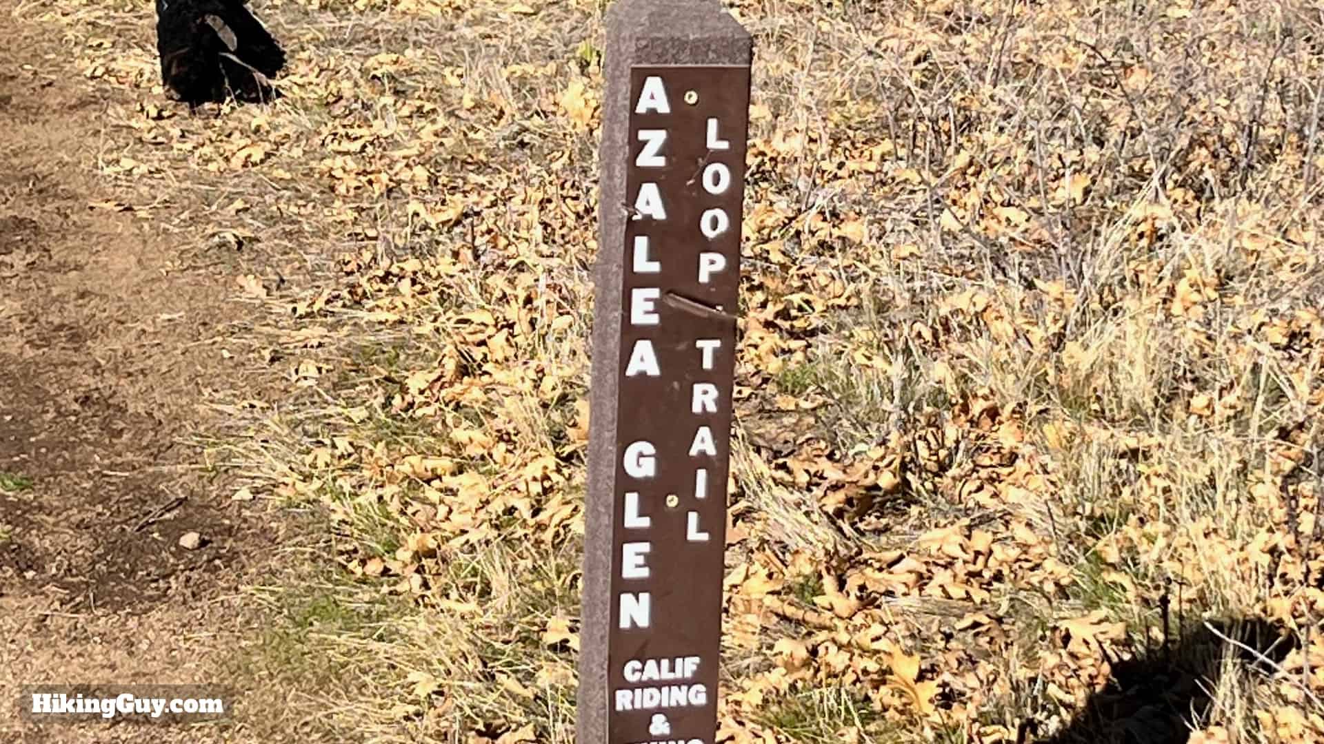Cuyamaca Peak Hike Loop 13