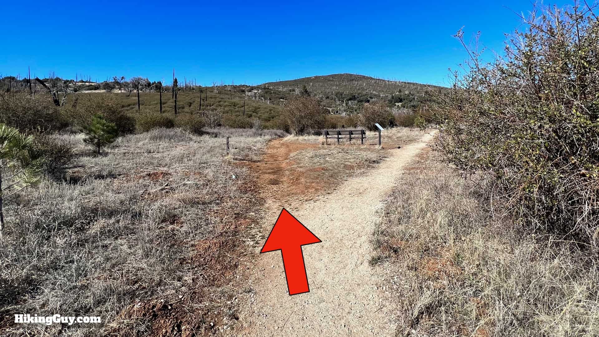 Cuyamaca Peak Hike Loop 15