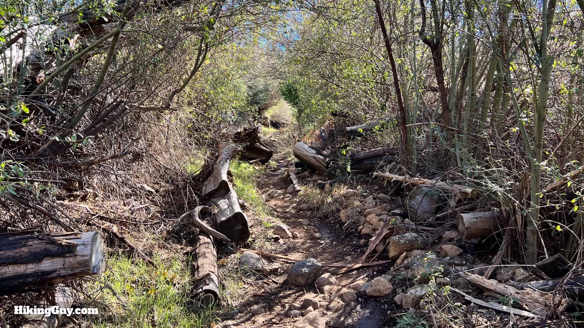Cuyamaca Peak Hike Loop 18