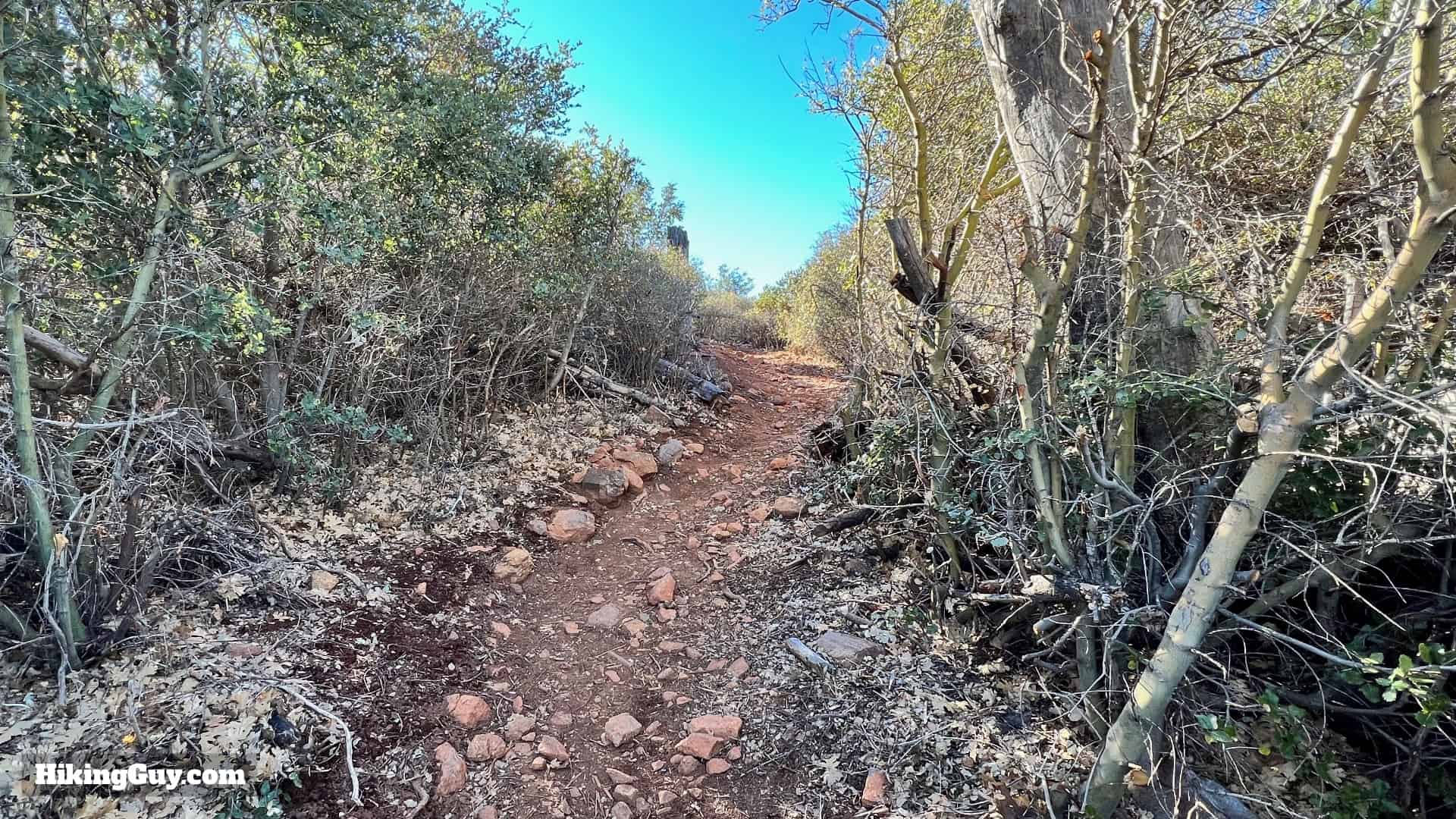 Cuyamaca Peak Hike Loop 26