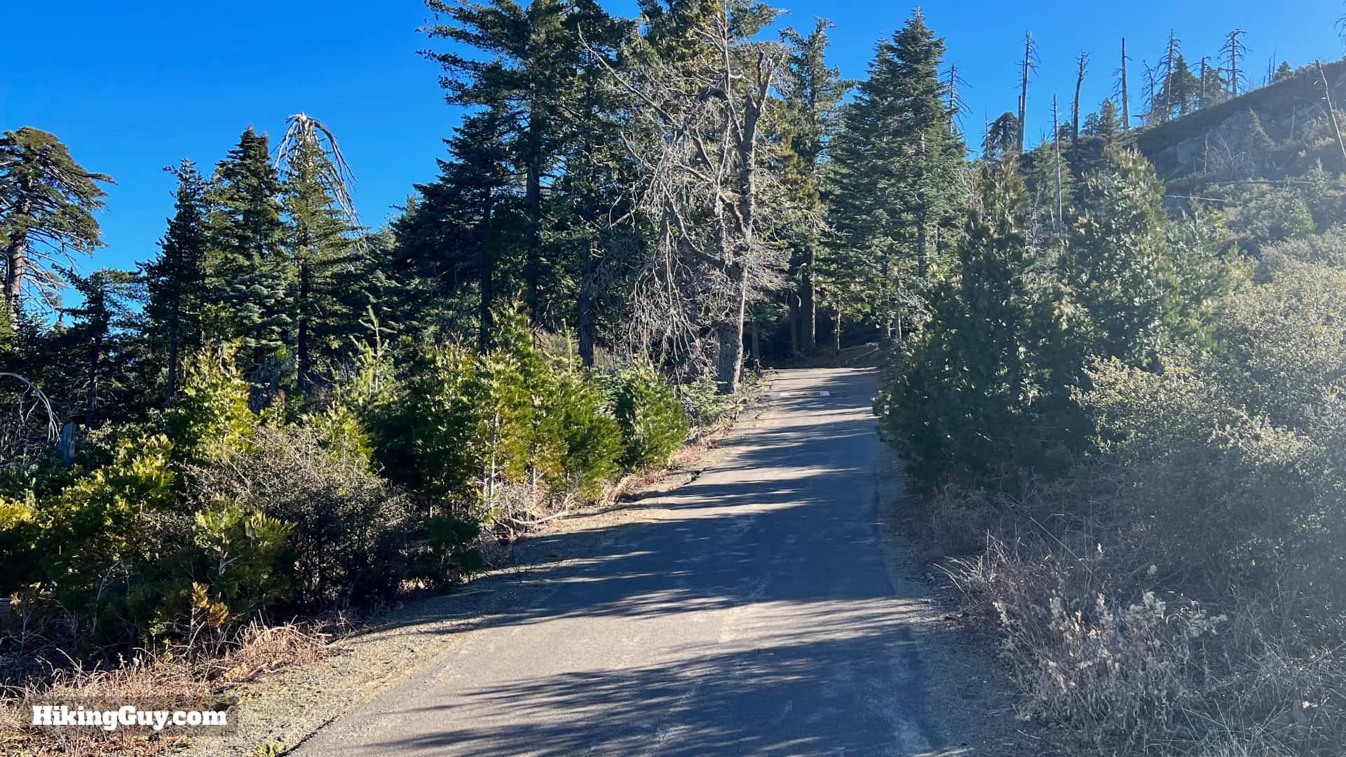 Cuyamaca Peak Hike Loop 33