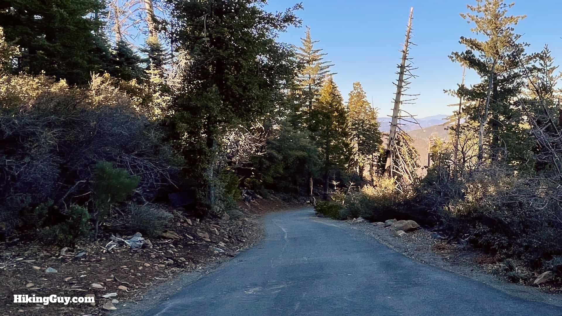 Cuyamaca Peak Hike Loop 37