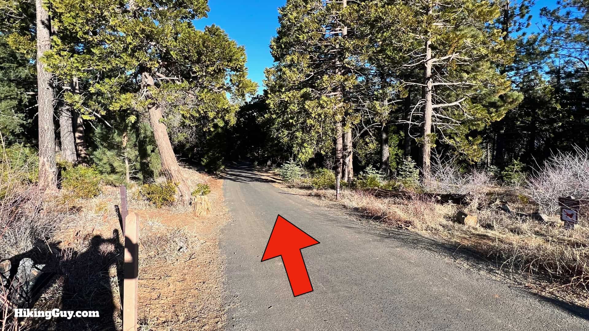 Cuyamaca Peak Hike Loop 38