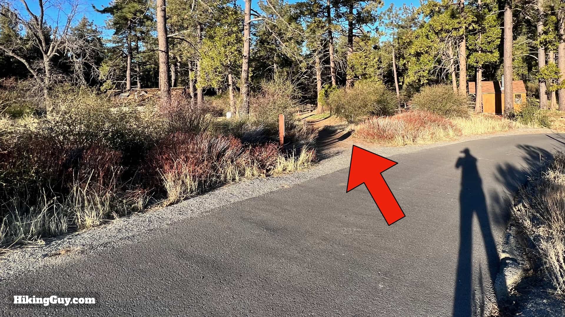 Cuyamaca Peak Hike Loop 41
