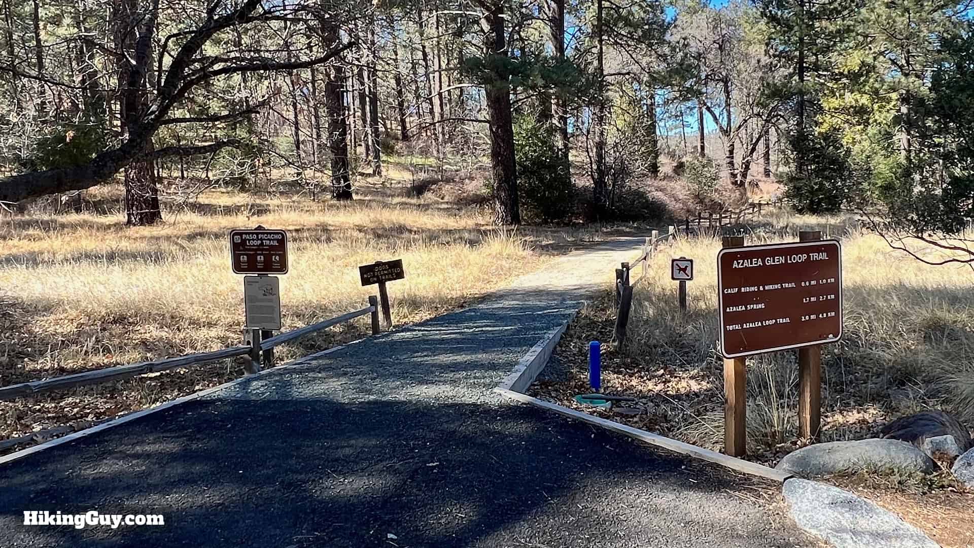 Cuyamaca Peak Hike Loop 9