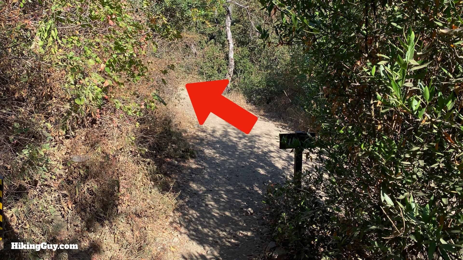 Dawn Mine Trail Directions 44