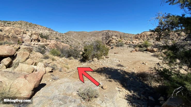 Desert Queen Mine Hike 11