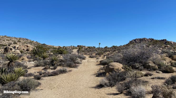 Desert Queen Mine Hike 5