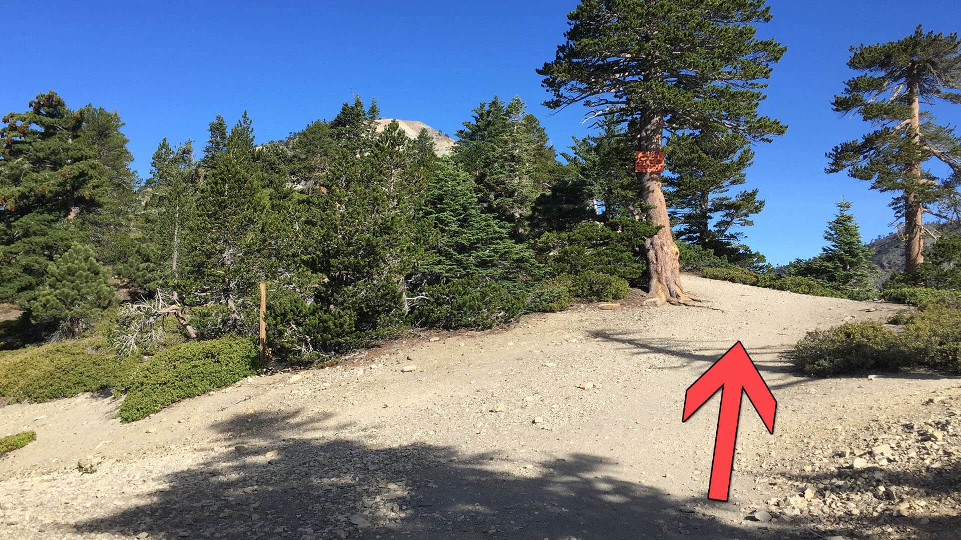 Devil’s Backbone trail starts