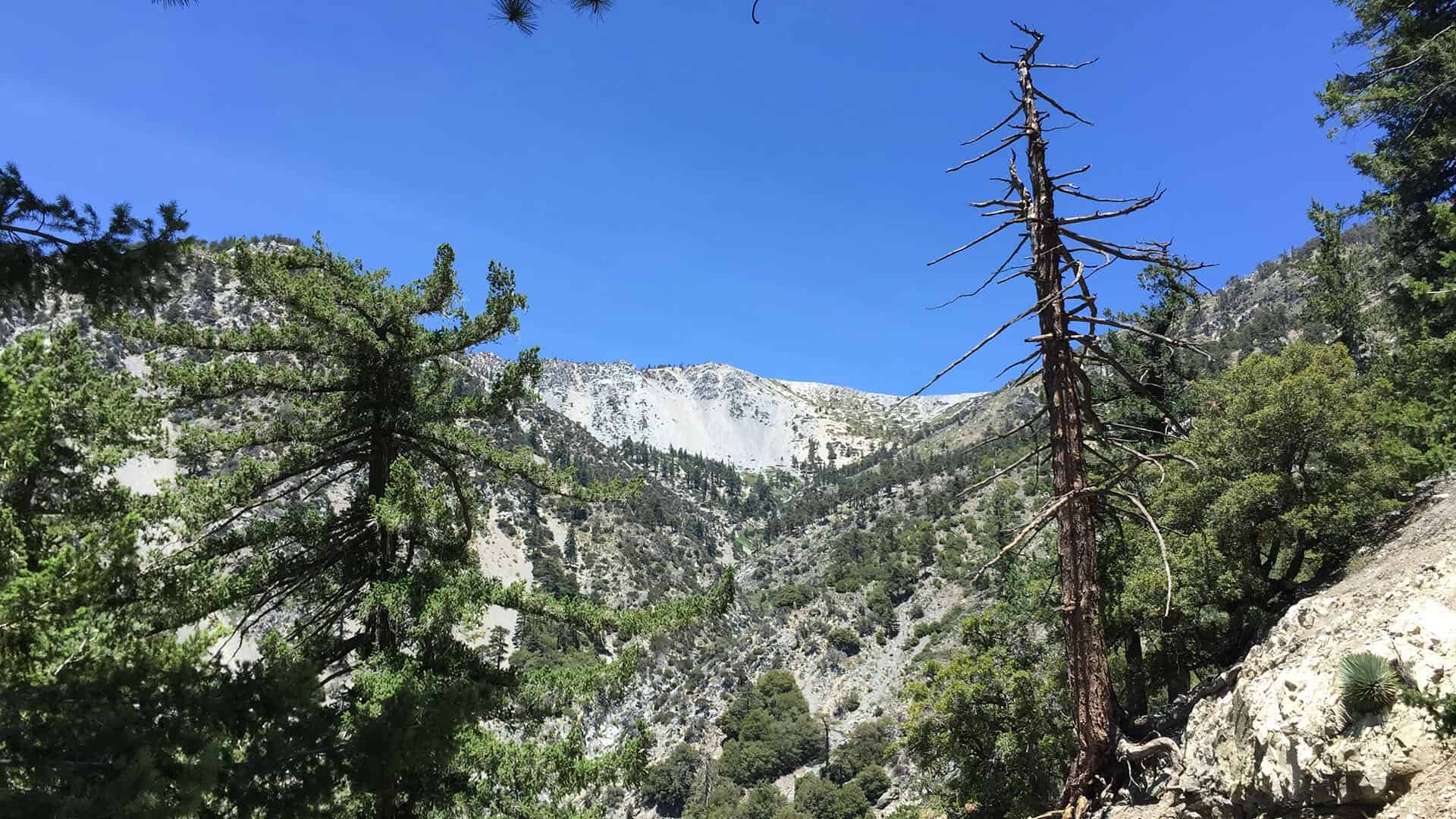Devil’s Backbone Trail view