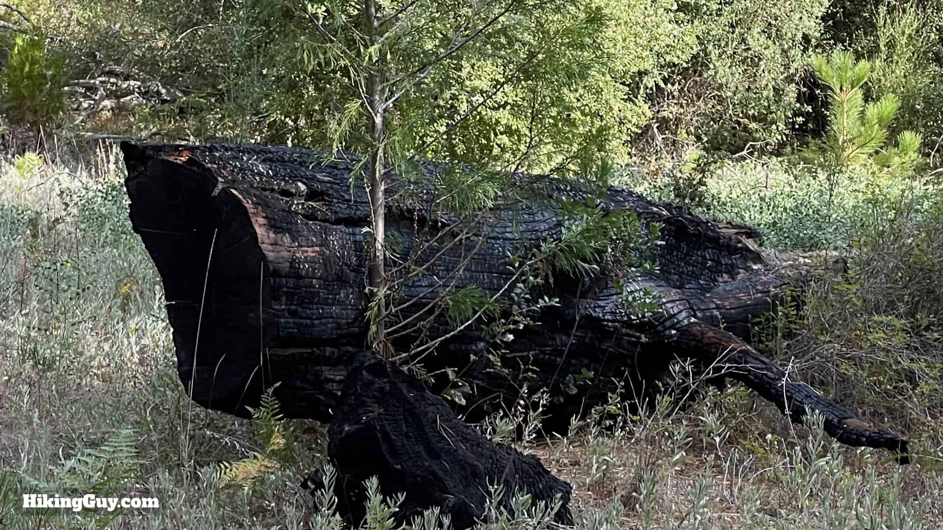 Doane Valley French Valley Hike Directions 39