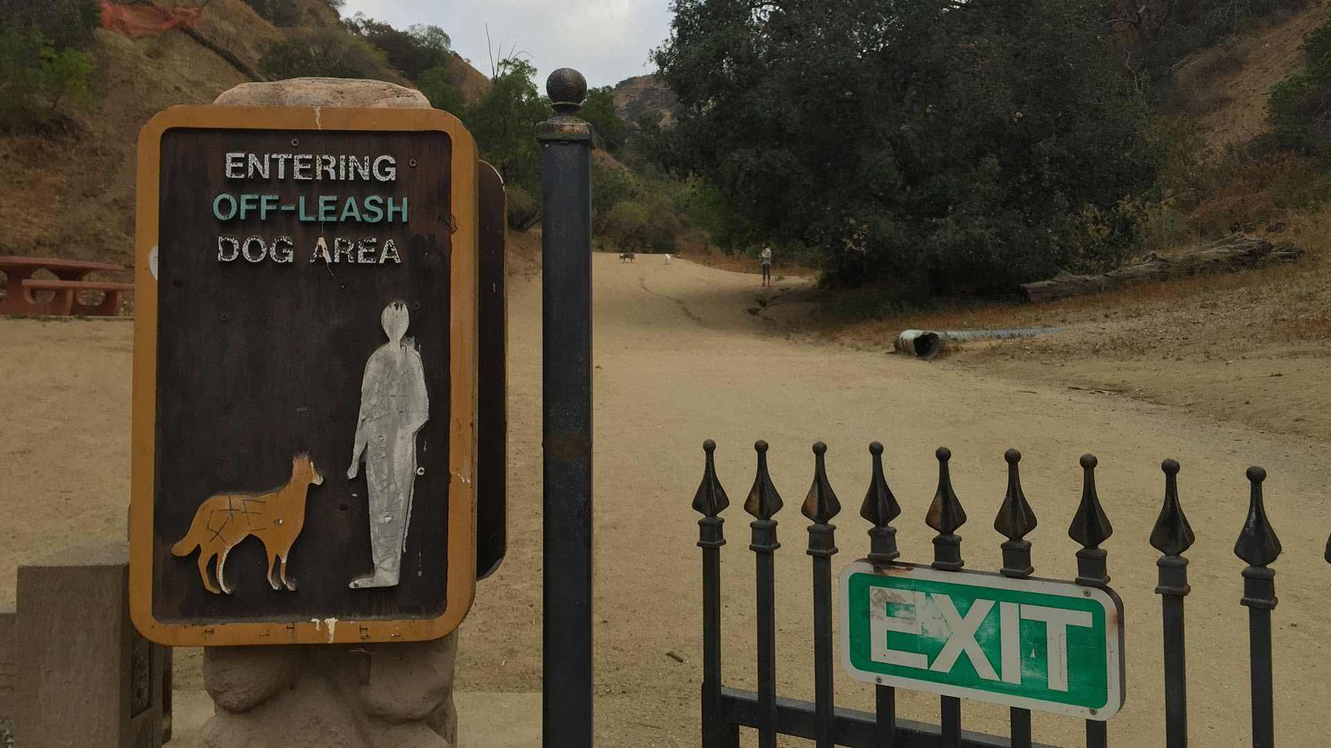 Runyon Canyon Trail Guide HikingGuy - Dog Friendly Sign In Runyon Canyon Park 