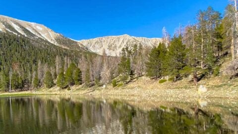 Dry Lake (San Gorgonio) From The South Fork Trail