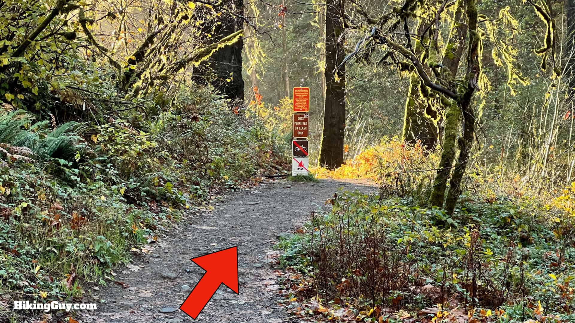 Eagle Creek Trail 14