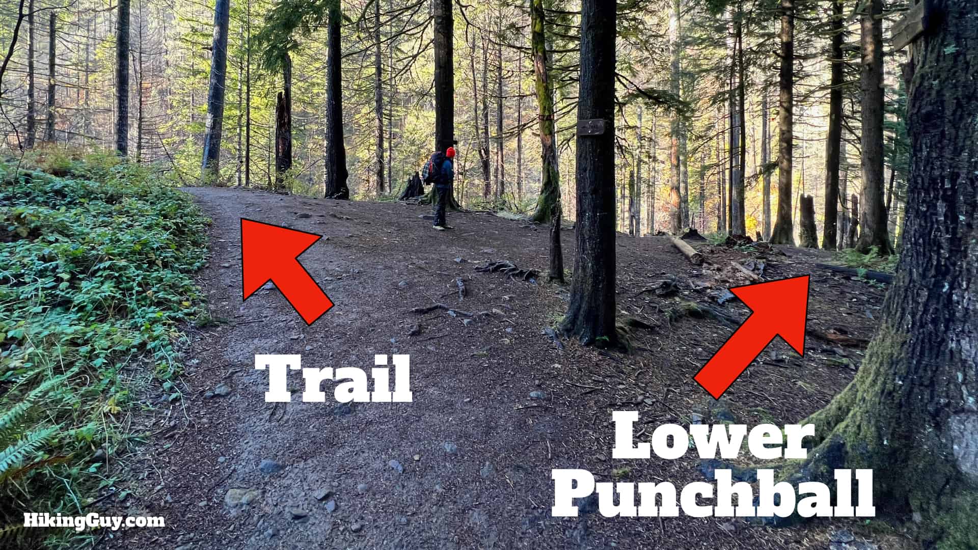 Eagle Creek Trail 24