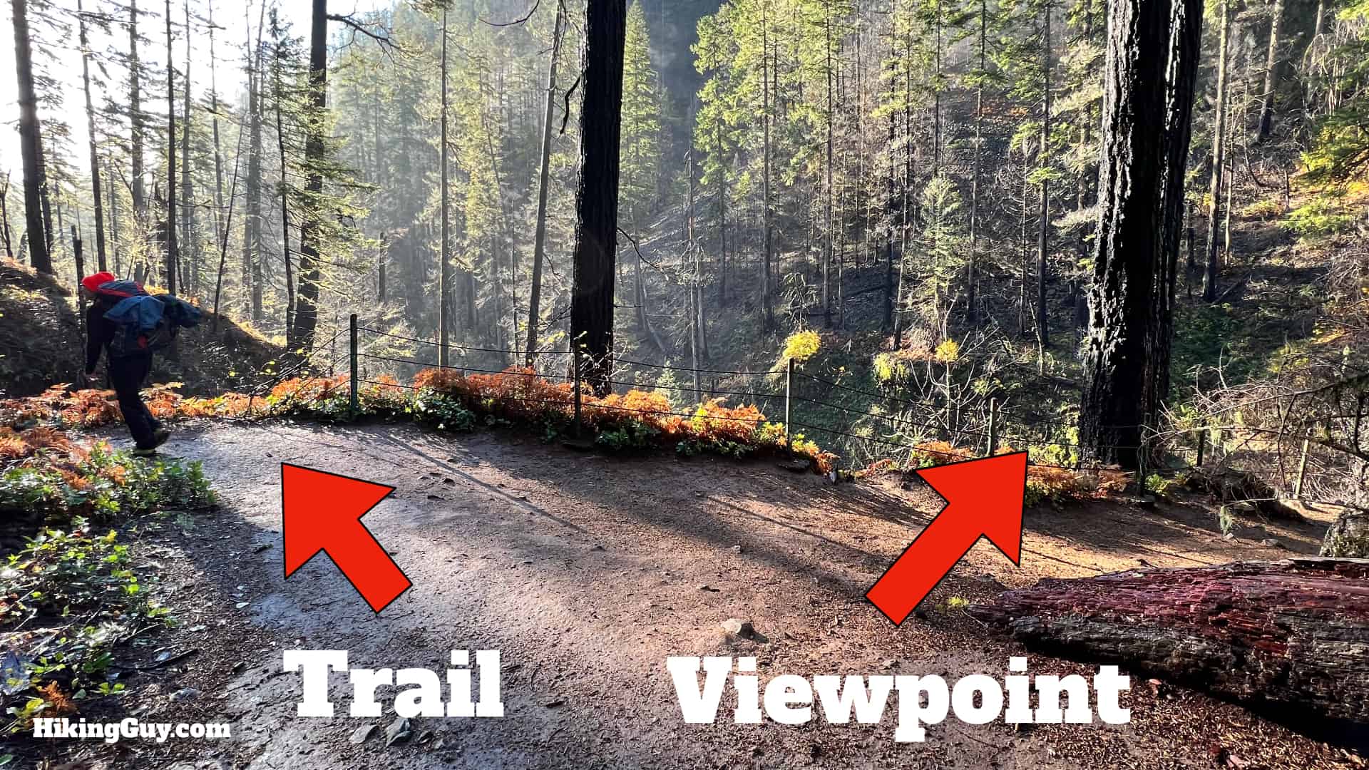 Eagle Creek Trail 29