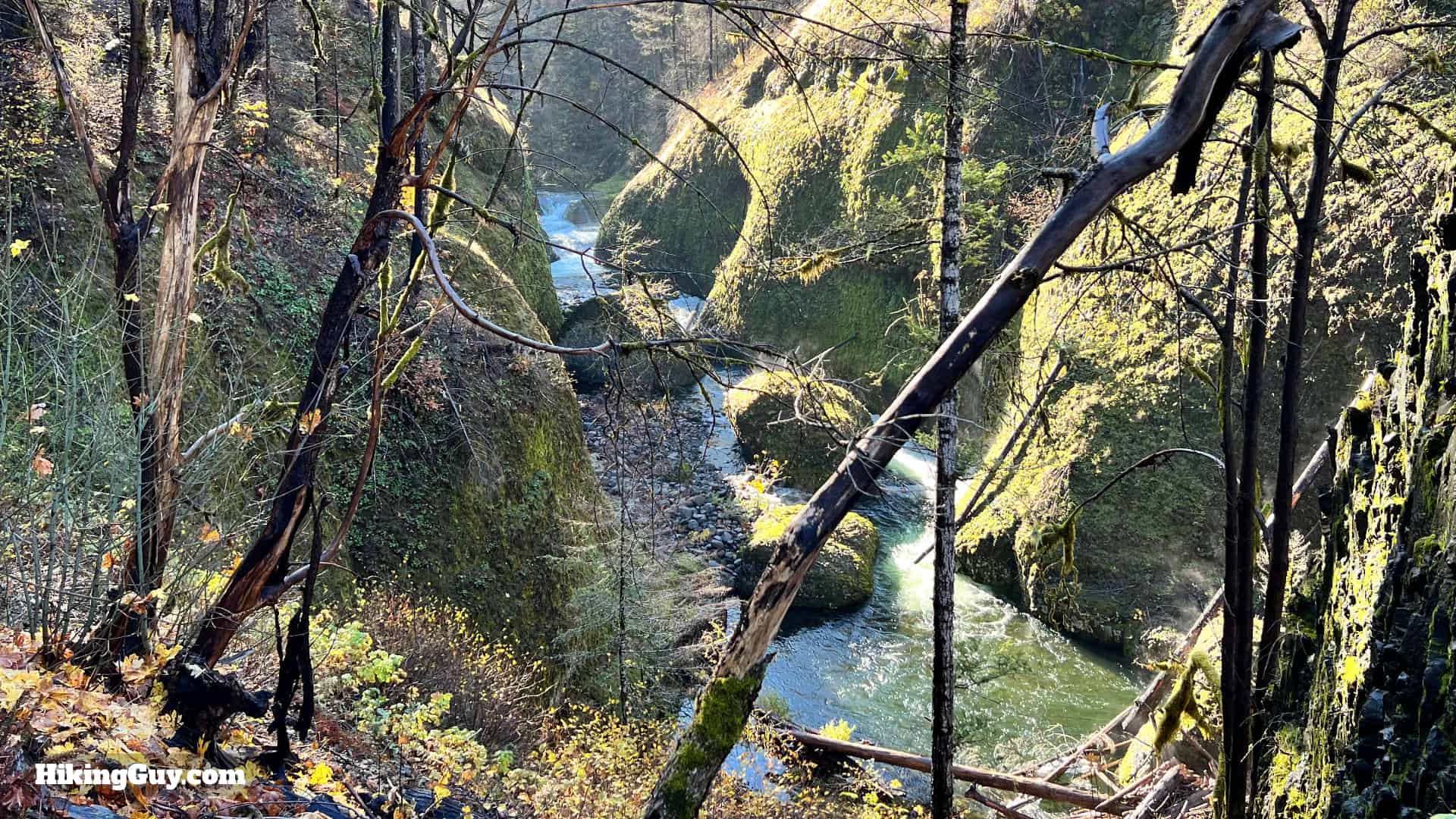 Eagle Creek Trail 36