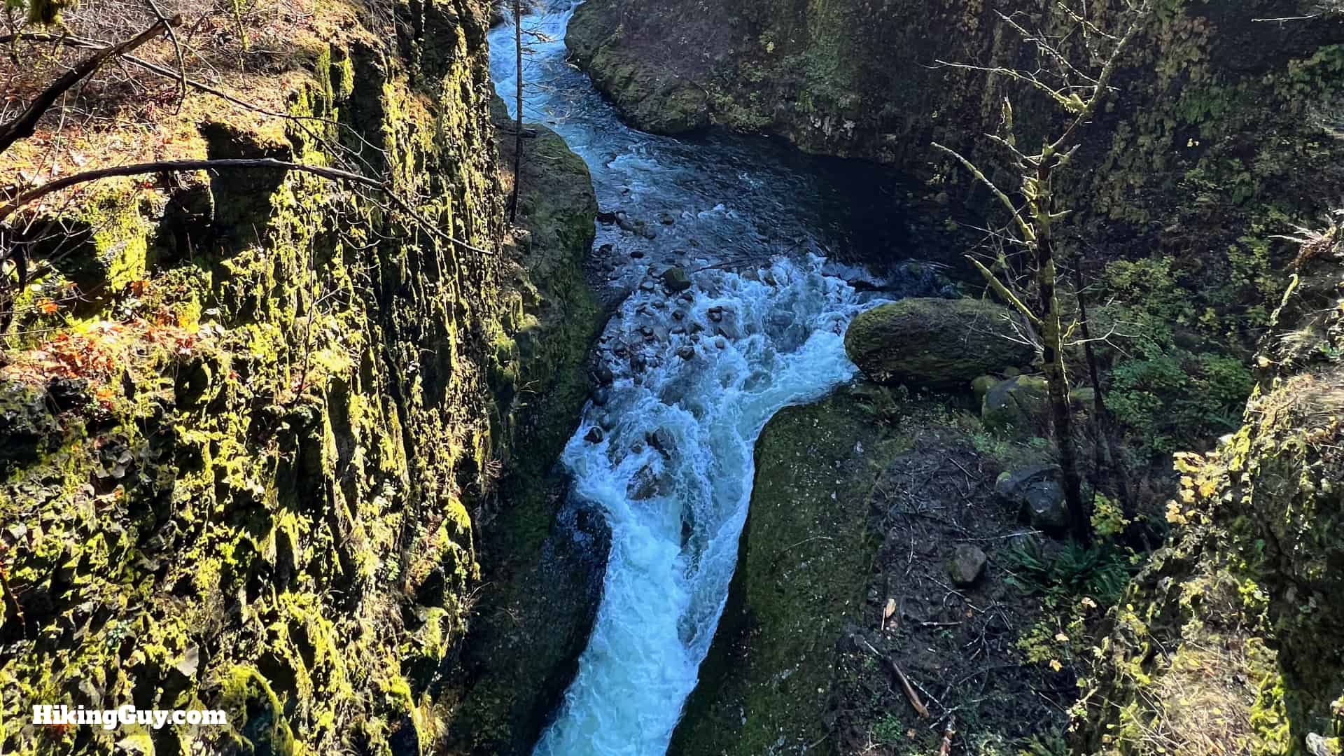 Eagle Creek Trail 40