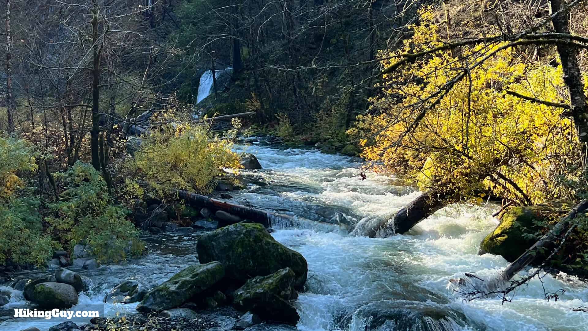 Eagle Creek Trail 44