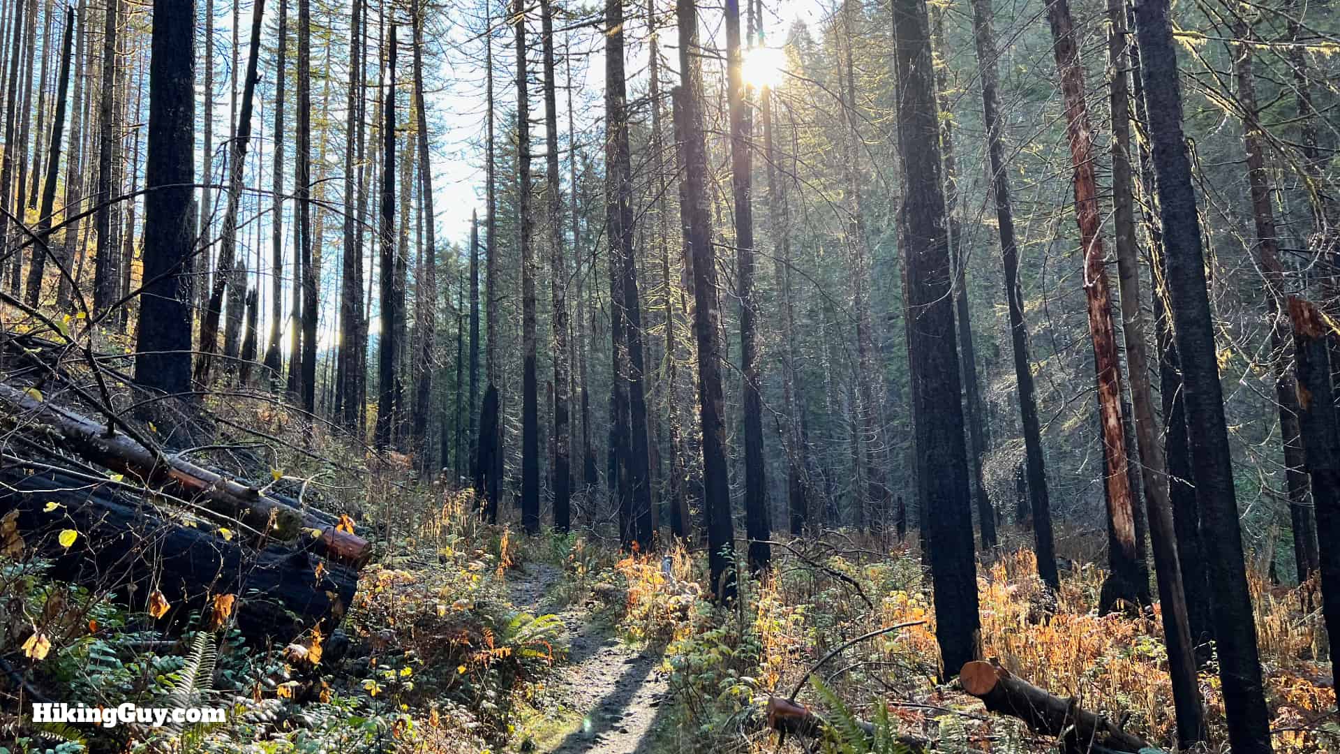 Eagle Creek Trail 45