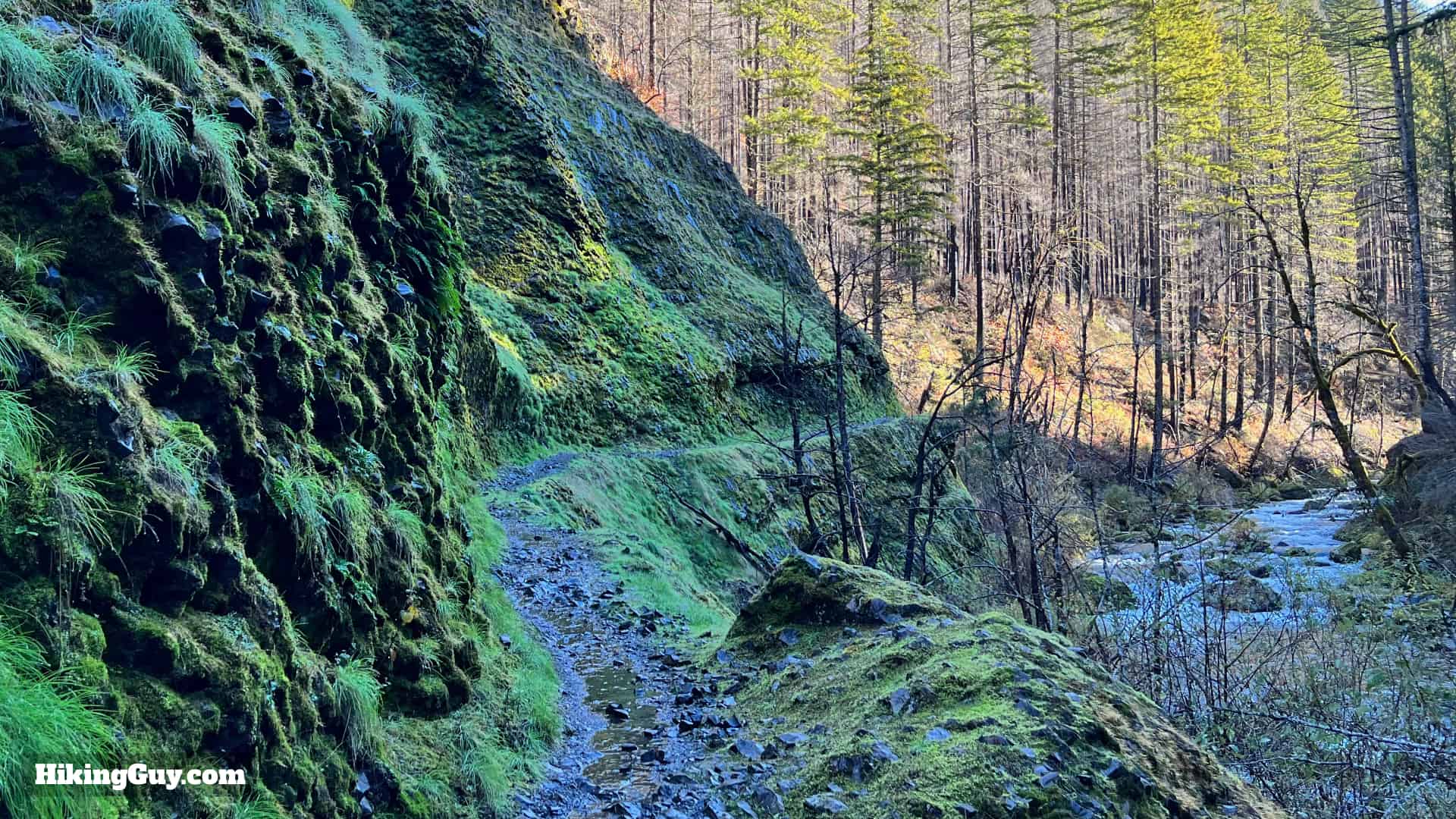 Eagle Creek Trail 51