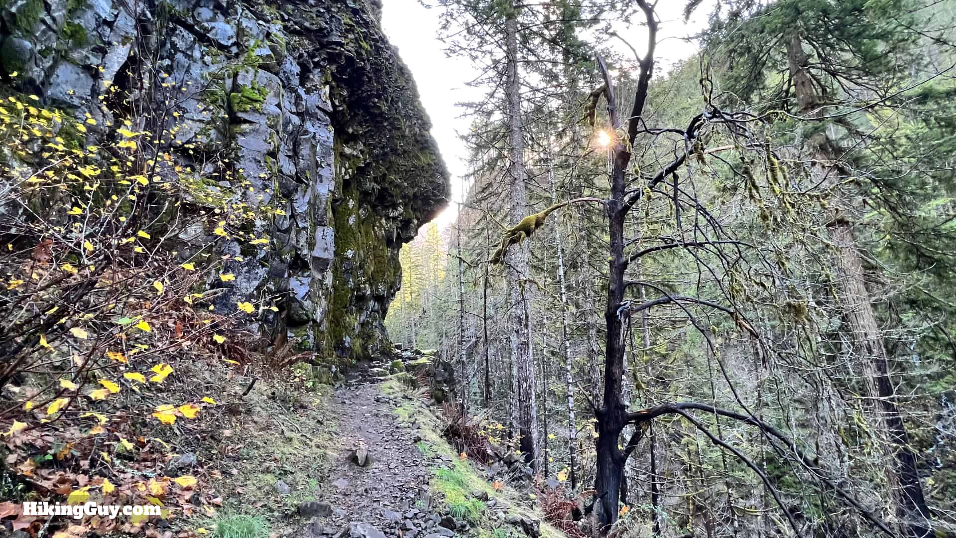 Eagle Creek Trail 52