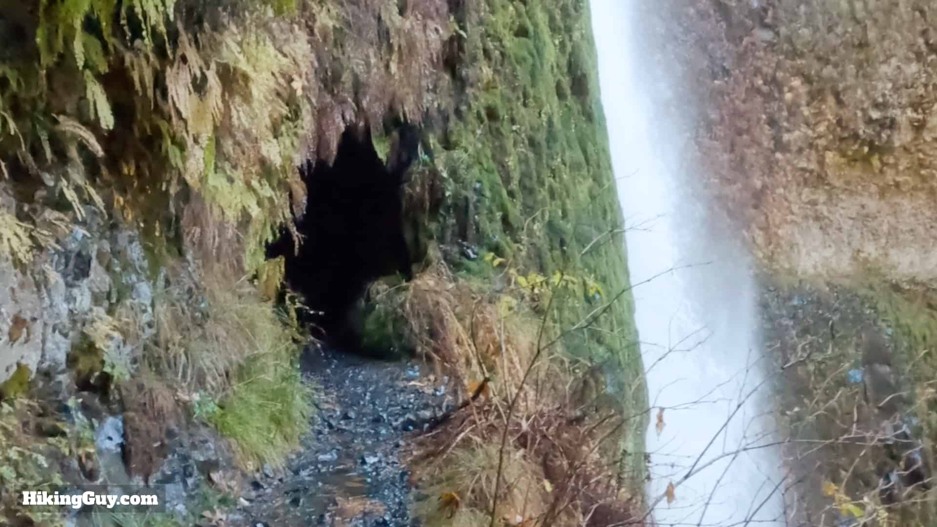 Eagle Creek Trail 56