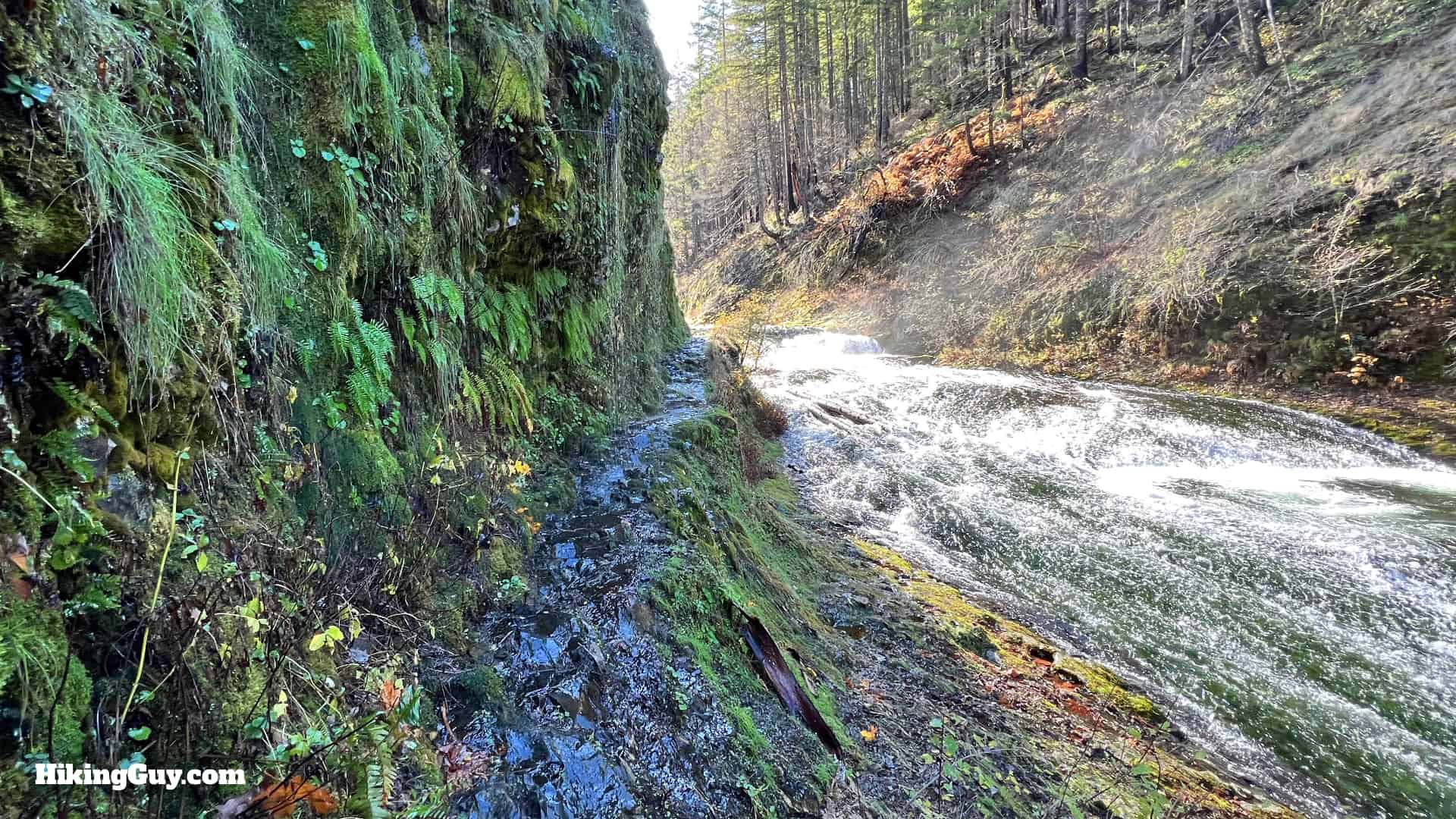 Eagle Creek Trail 61