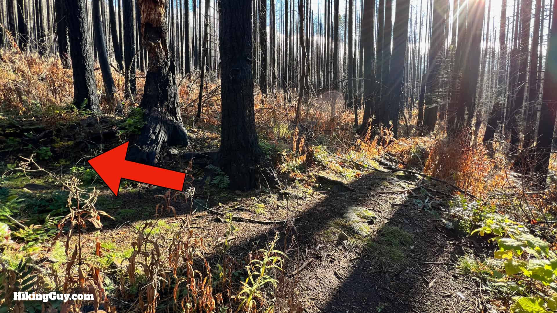 Eagle Creek Trail 65