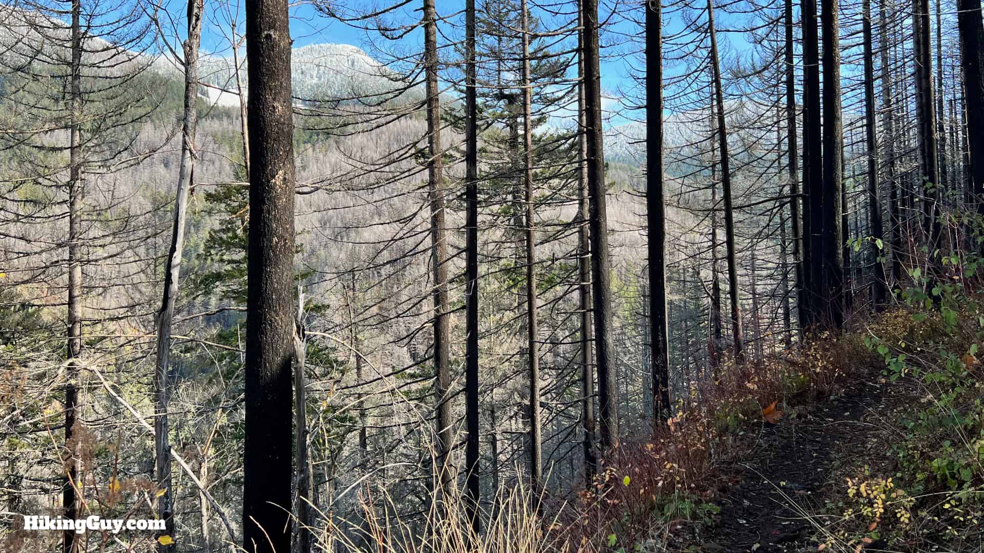 Eagle Creek Trail 67