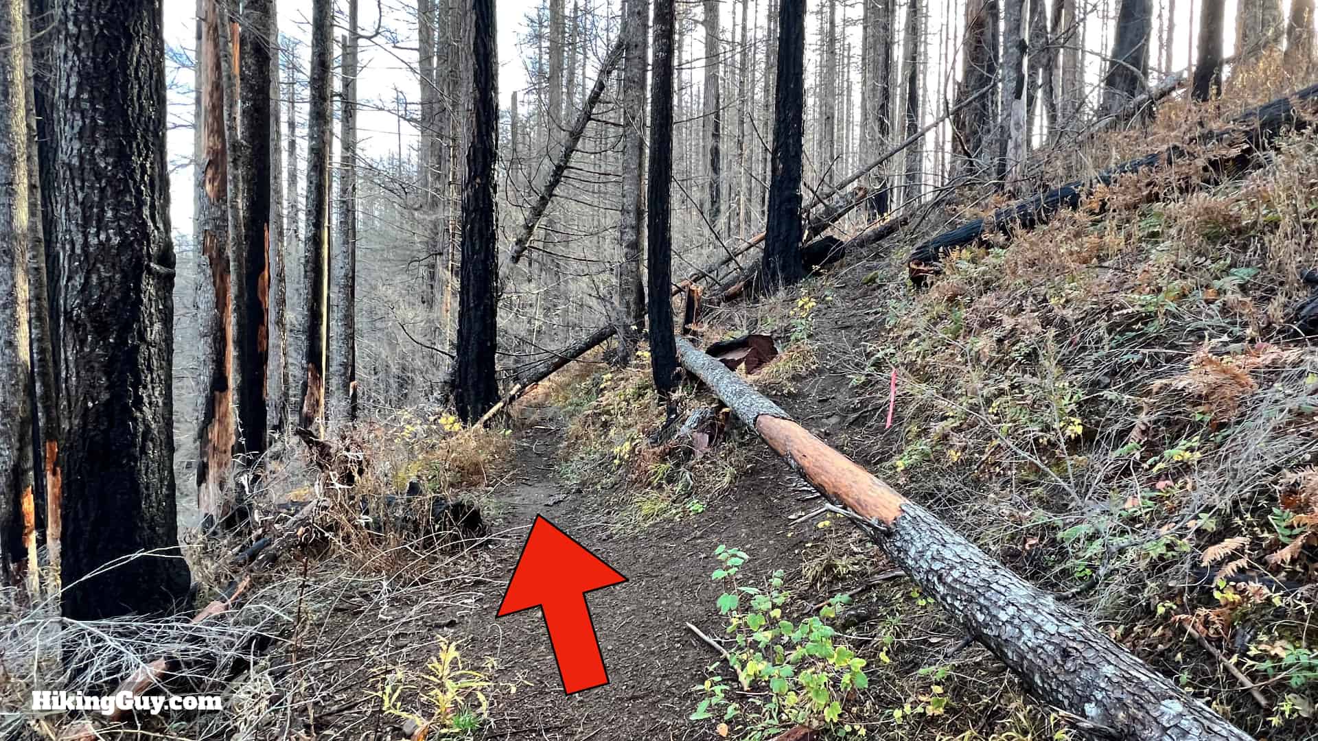 Eagle Creek Trail 68