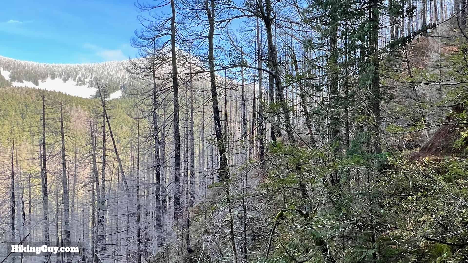 Eagle Creek Trail 69