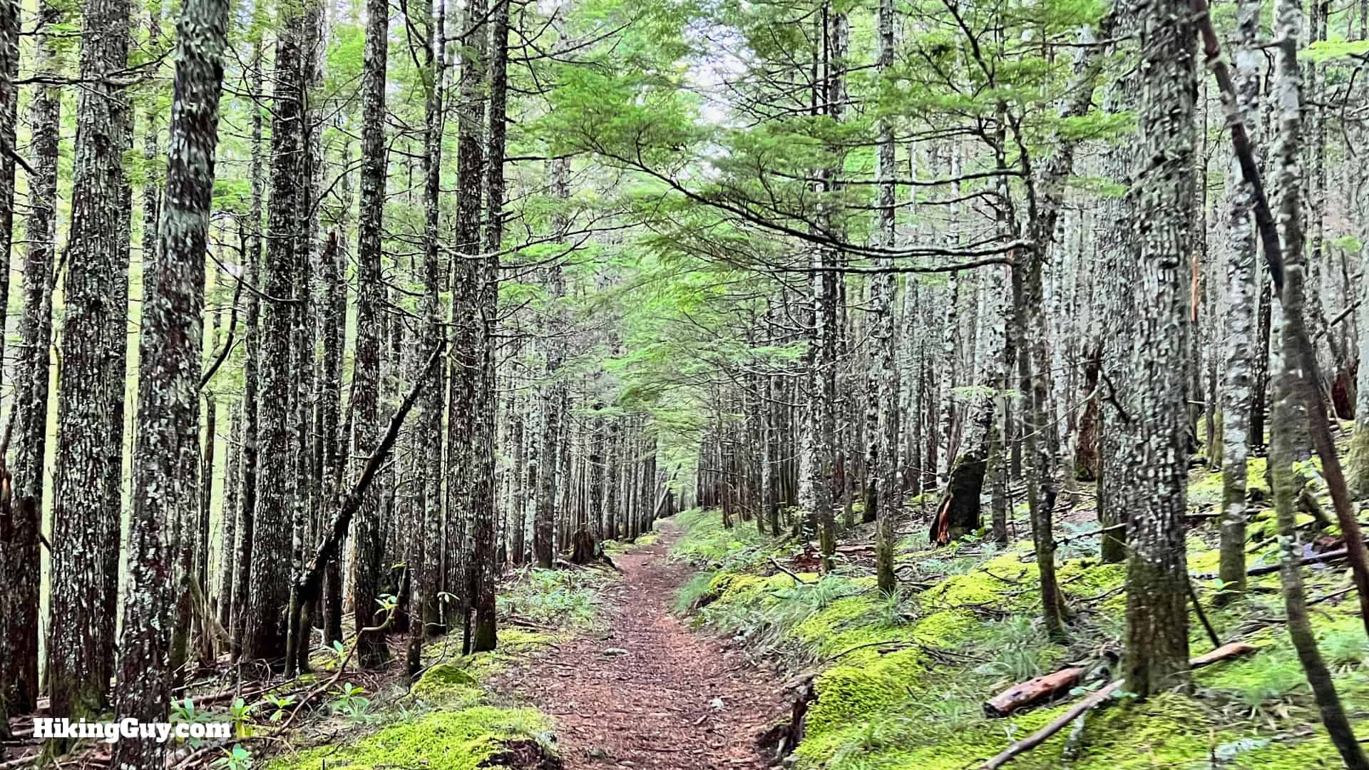 Eagle Creek Trail 70