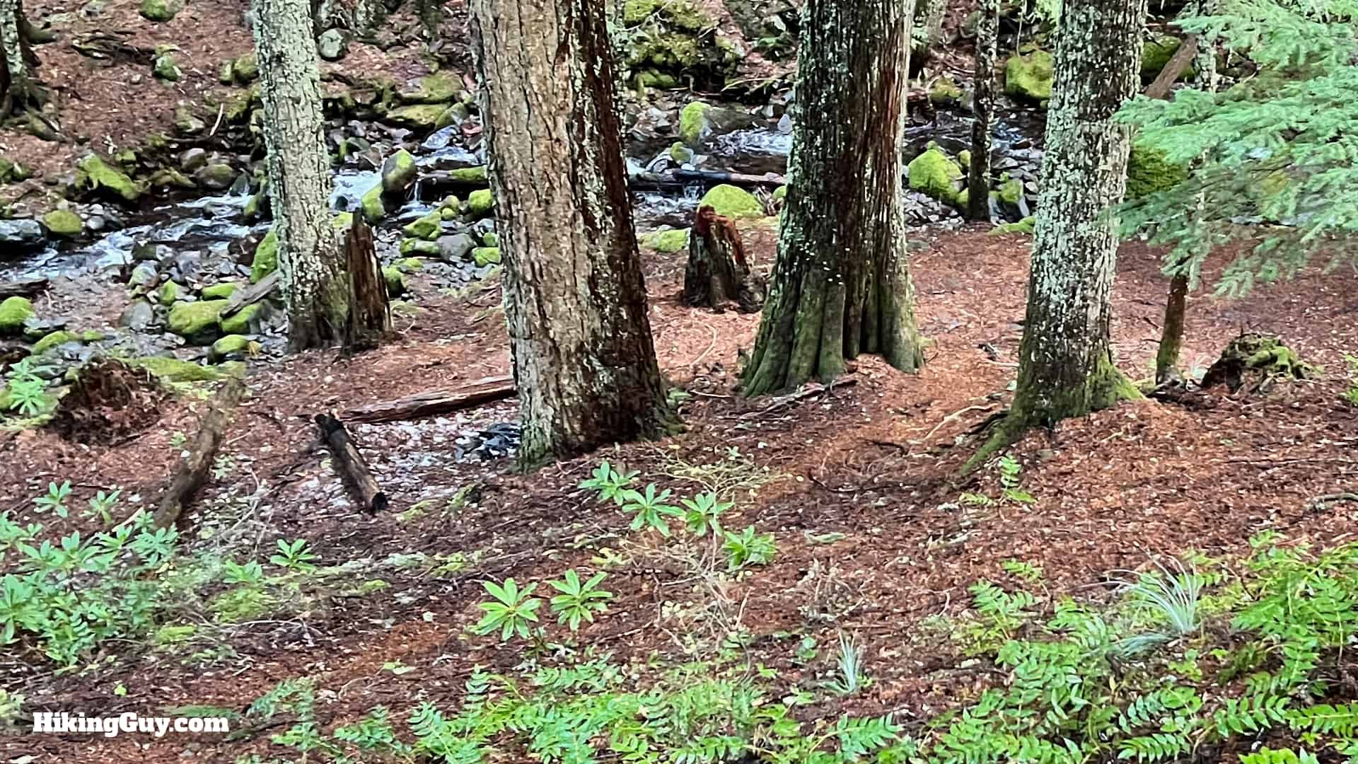 Eagle Creek Trail 71