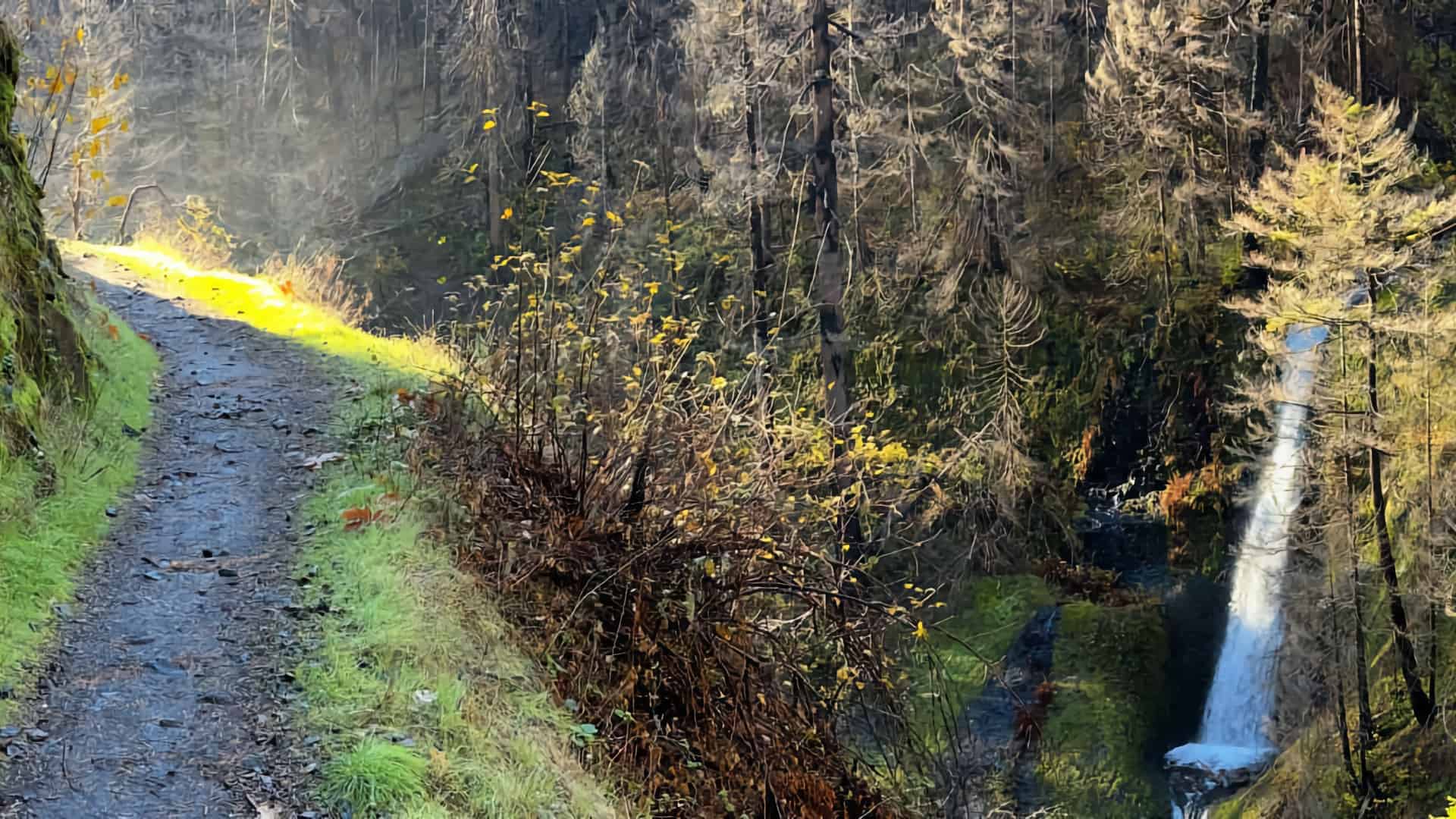 Eagle Creek Trail Guide