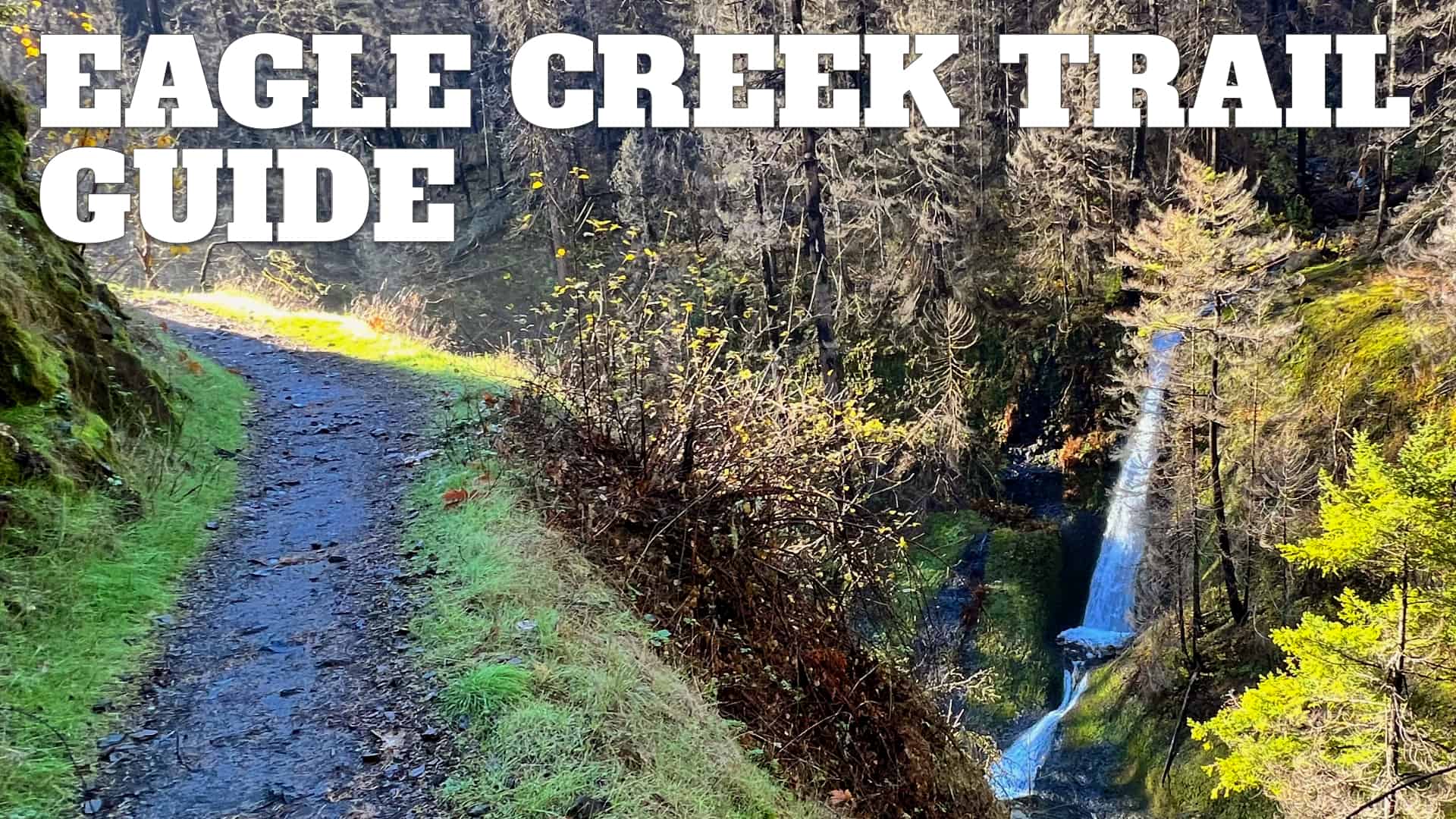 zo Array partij Eagle Creek Trail Guide - HikingGuy.com