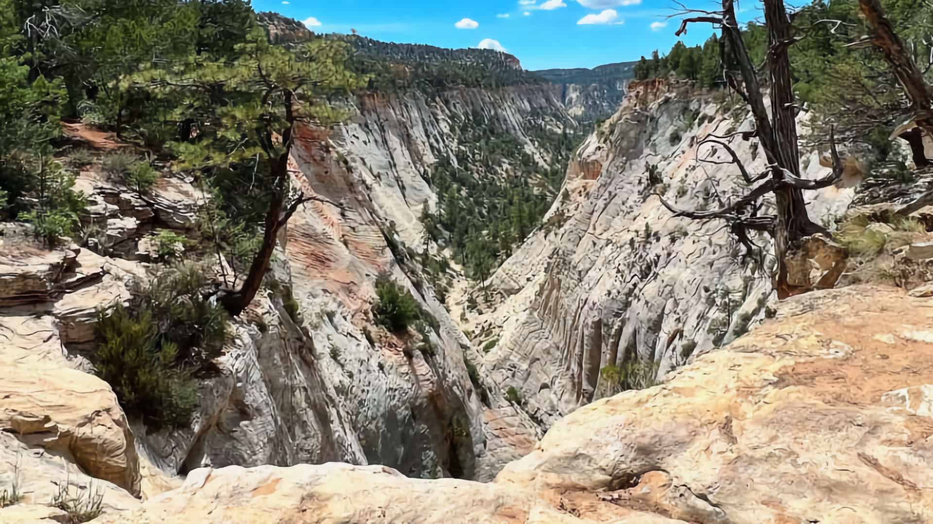 East Rim Trail to Jolley Gulch Viewpoint (Zion)