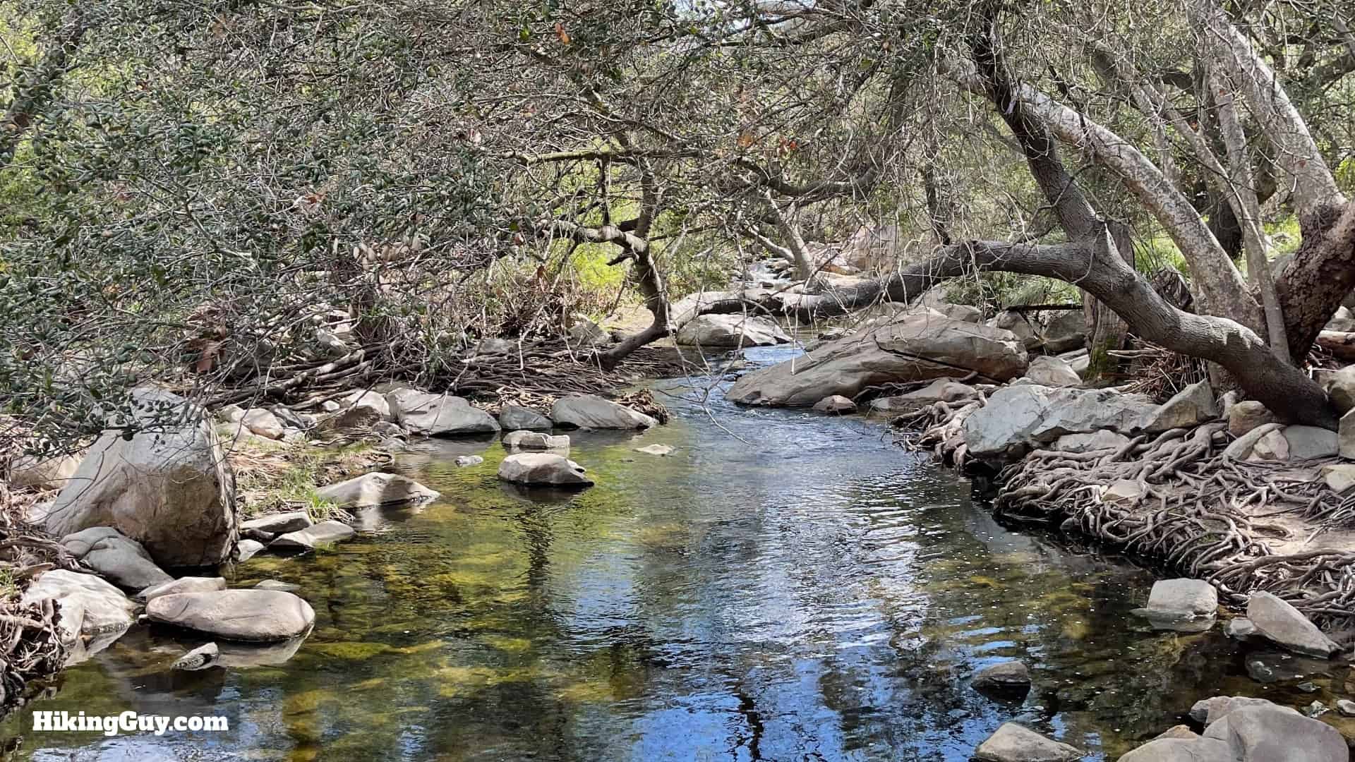 Elfin Forest Hike Directions 12